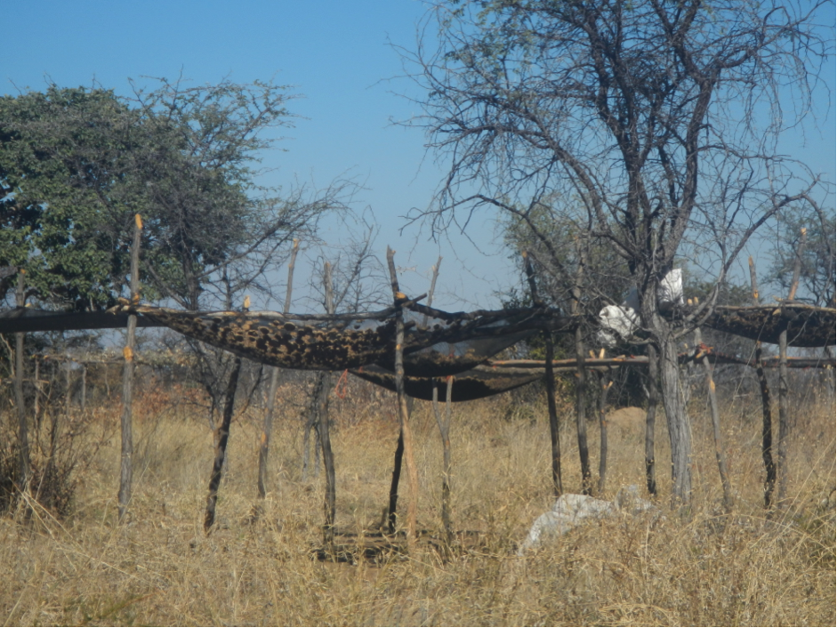 All I get is that I don’t get it:  Thoughts on Mobility and Sense of Place