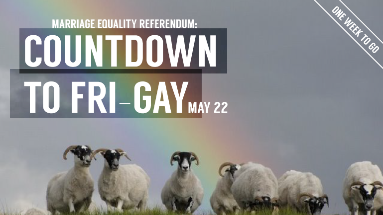 A brief introduction to the marriage equality referendum