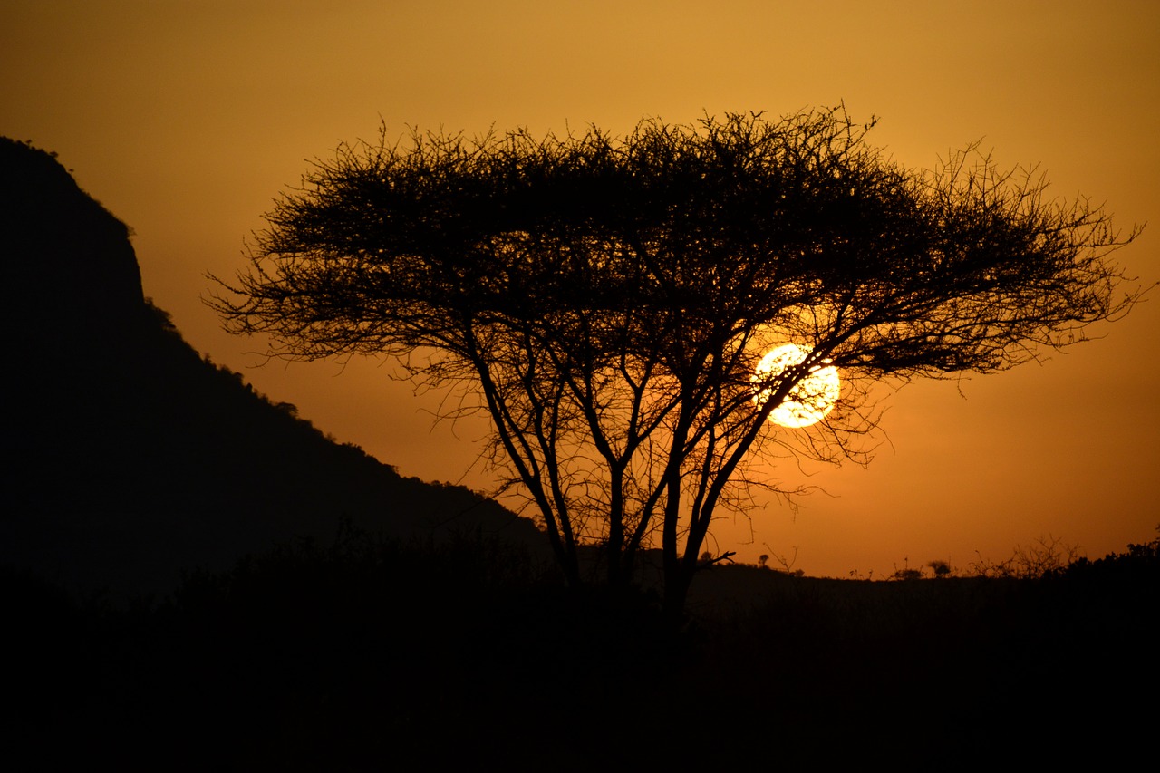 The Double-Edged Sword of Cultural Tourism