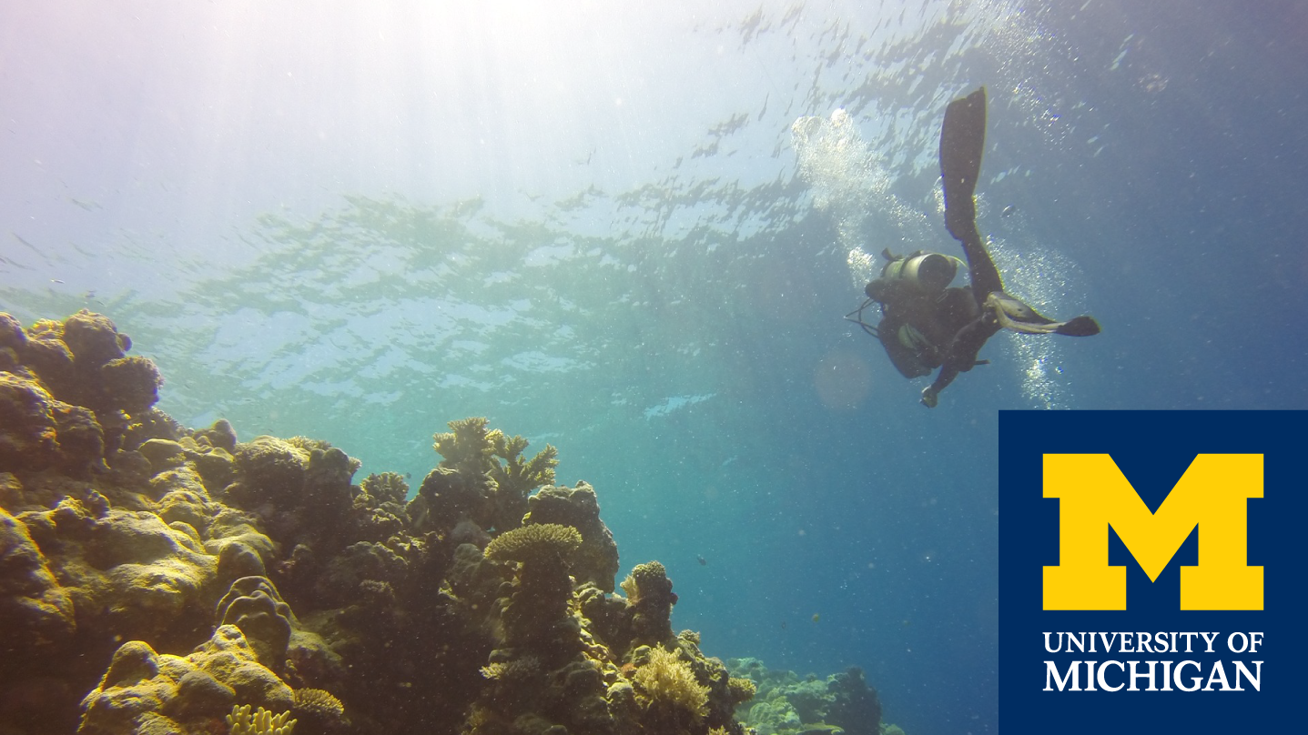 Look Out Below! Impacts of Recreational Divers on Coral Reefs