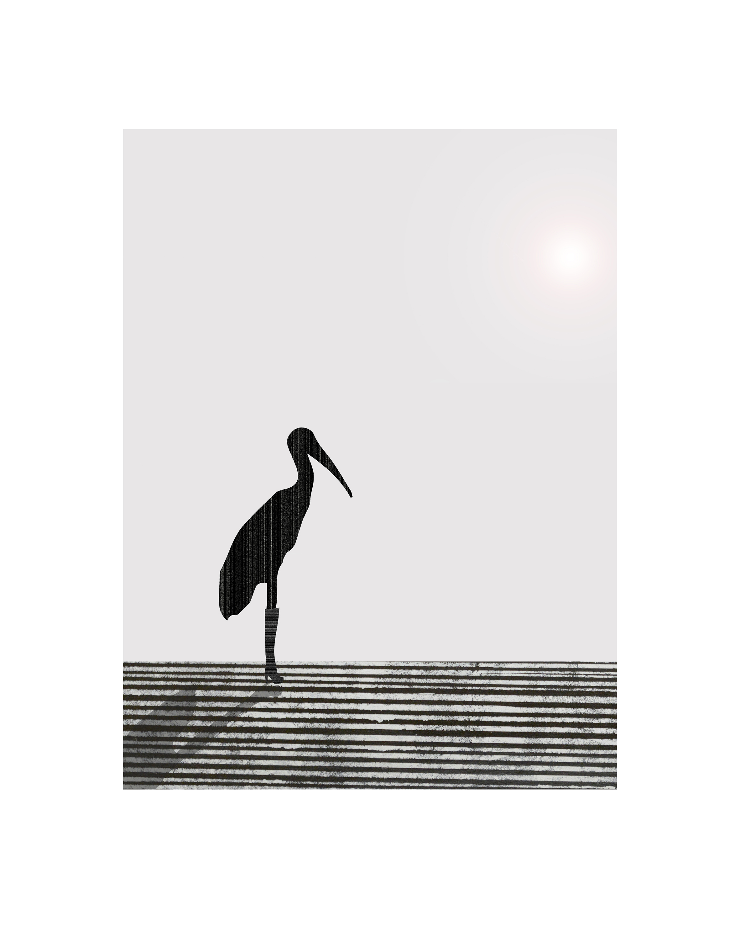 RenniePilgrem_Stork_50x40cmLo.jpg