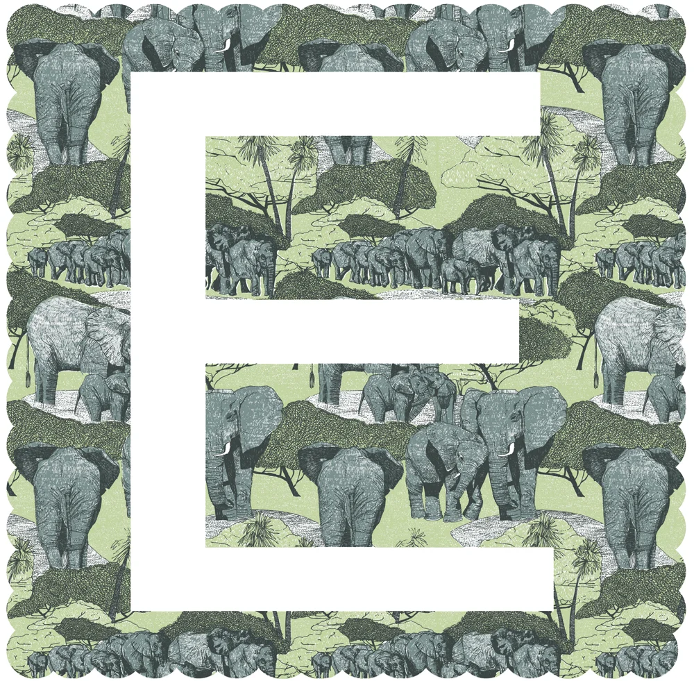 E is for elephant.jpg