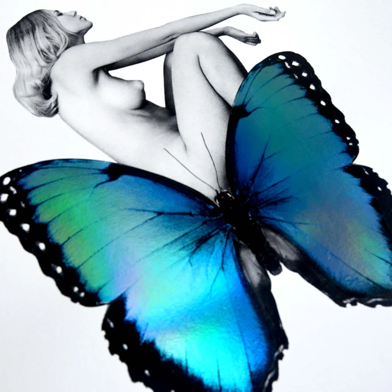 Daydreamer detail.jpg