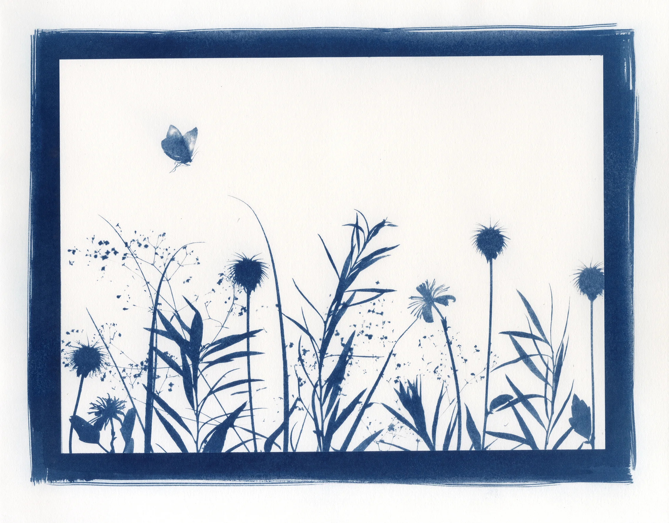 Naturalia Tav IV - L.jpg