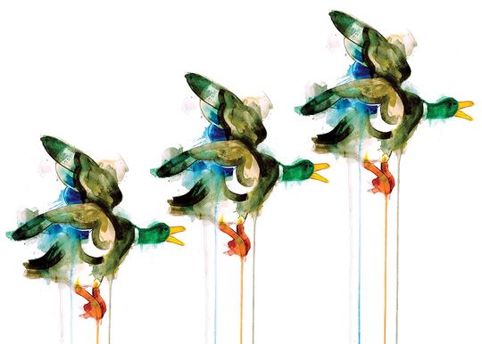 Three Flying Ducks.jpg