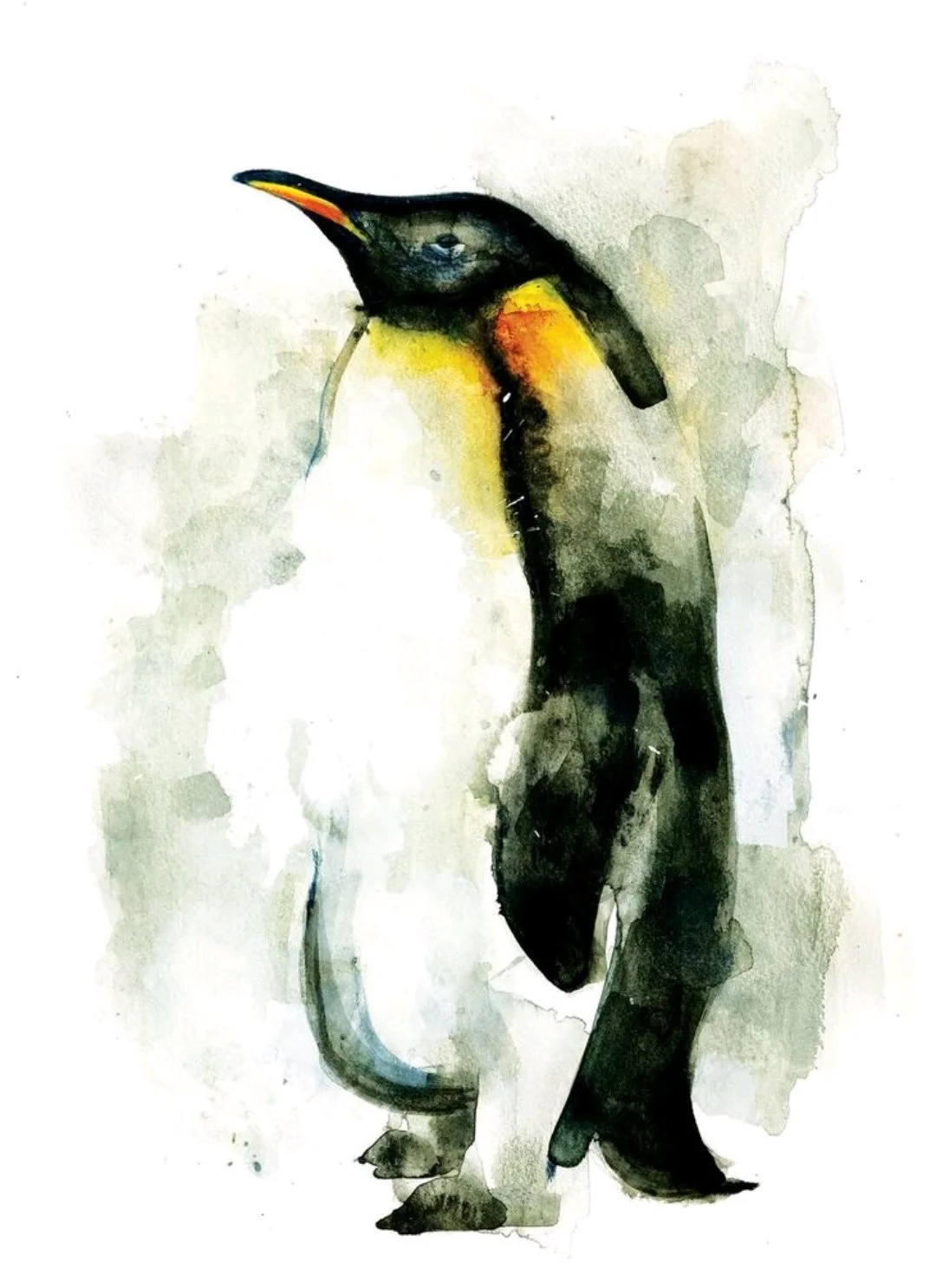 Penguin.jpg