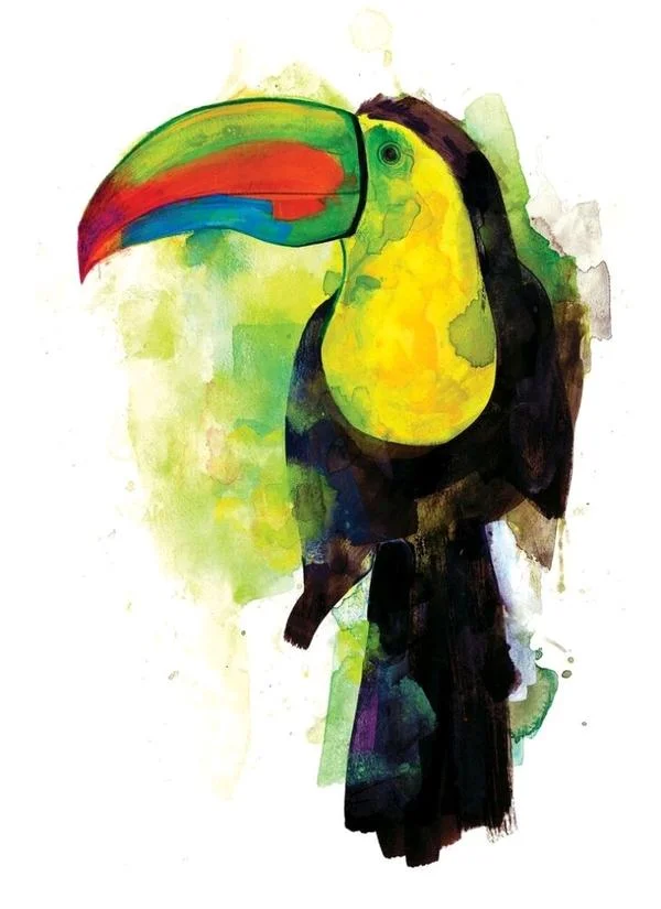 Toucan.jpg