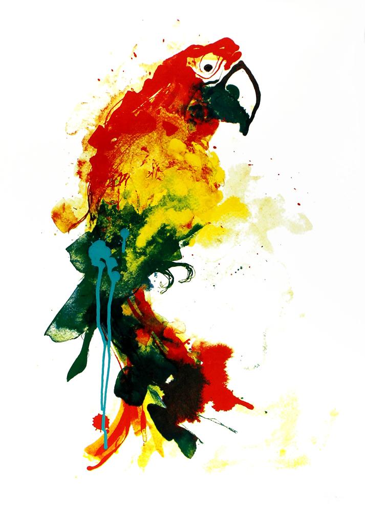 gavin dobson "parrot"