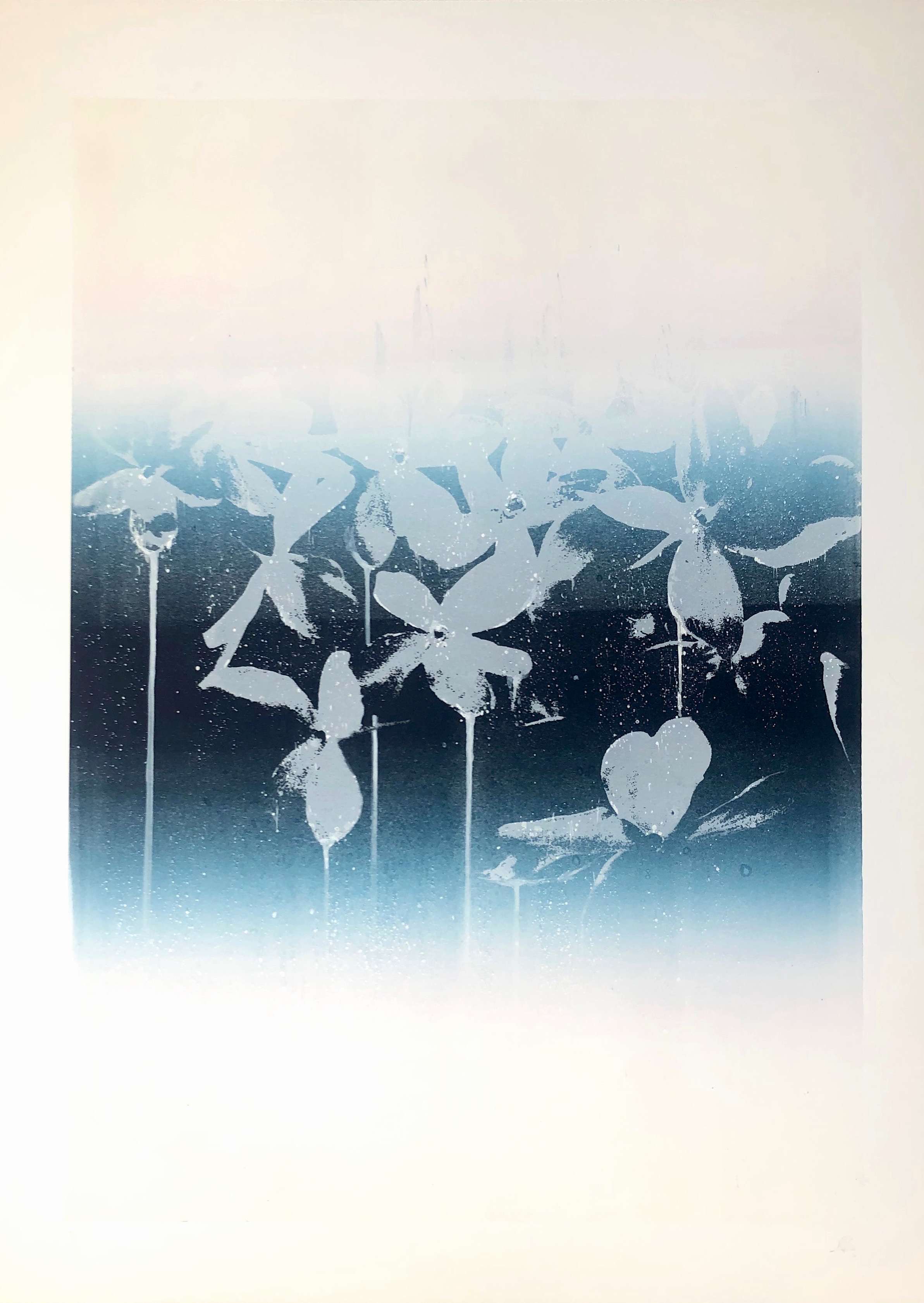 rachel barber "blue jasmin" 1/1