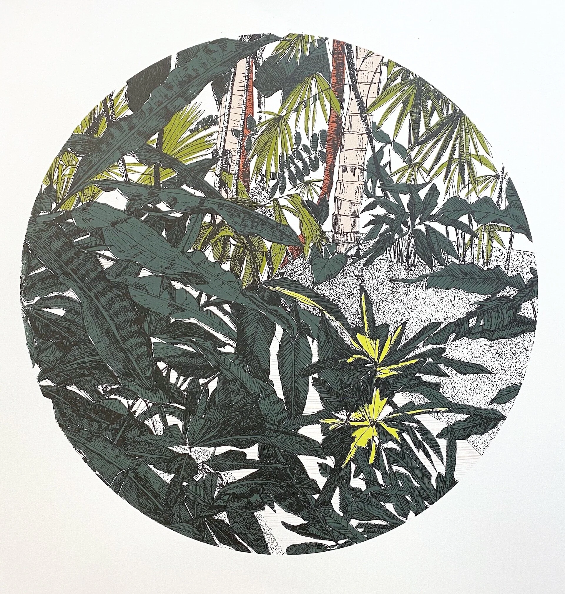 clare halifax "nature, nice to have you a round!"