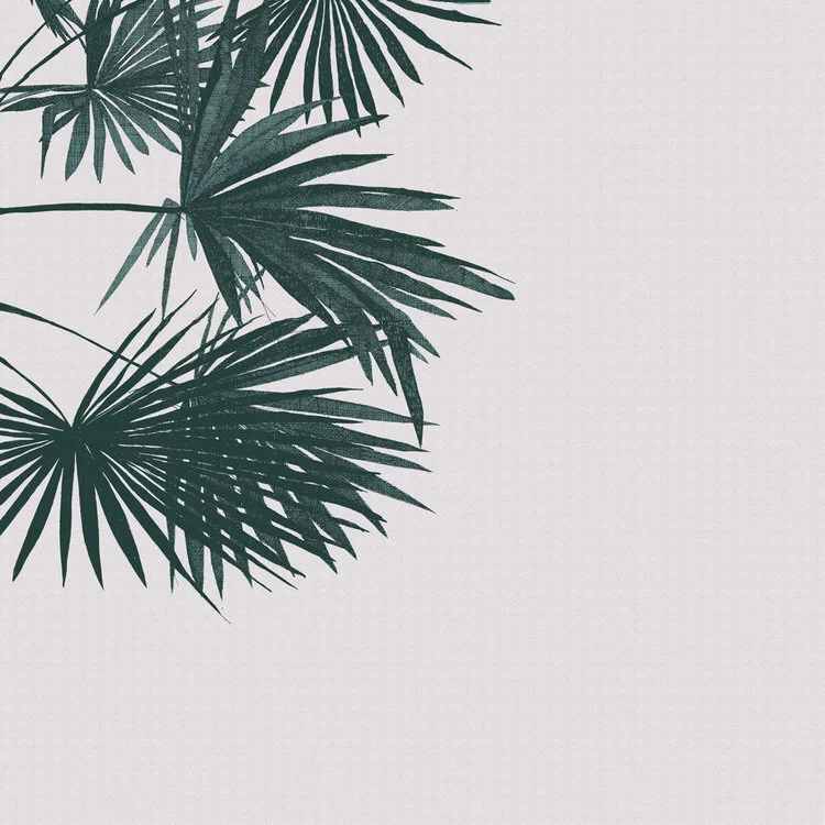 Criss Cross Palm.jpg