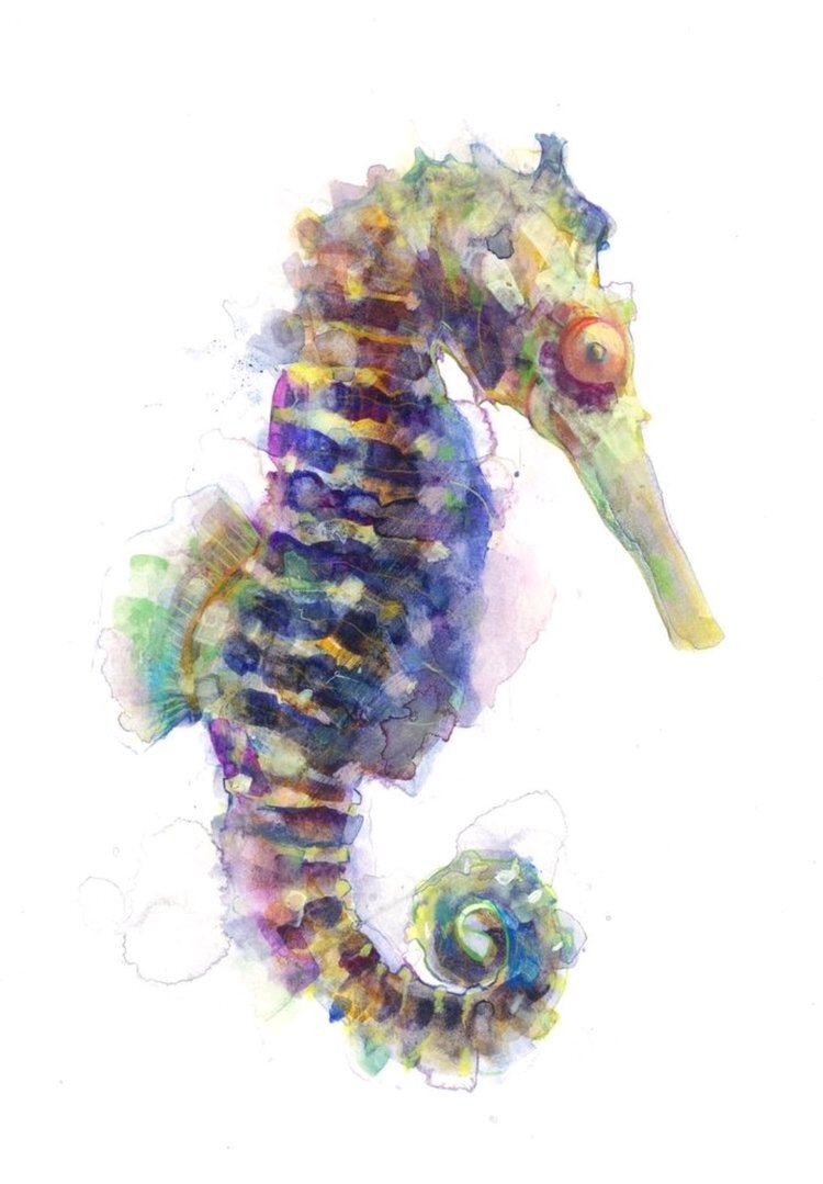 Seahorse.jpg