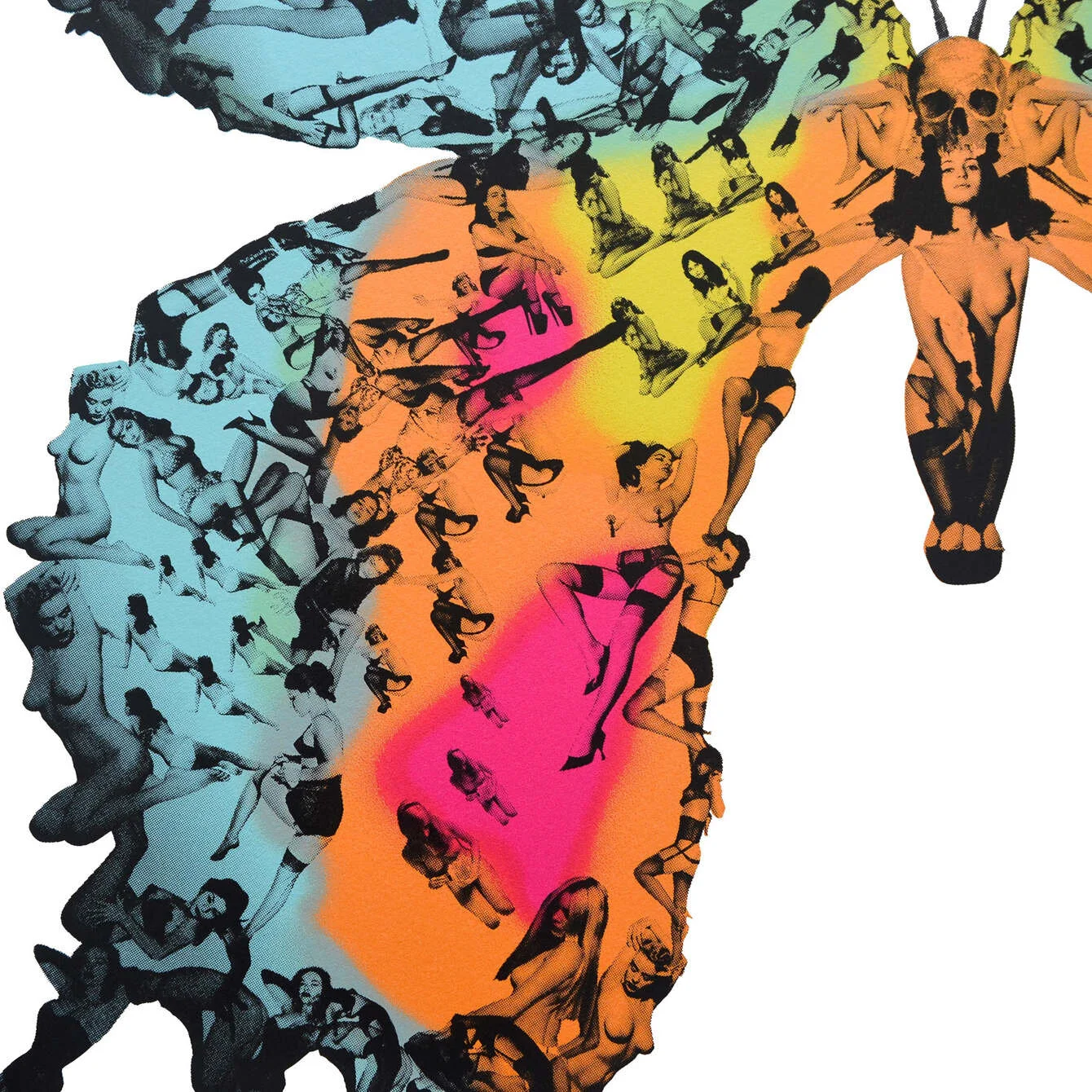 Madagascan Love detail.jpeg