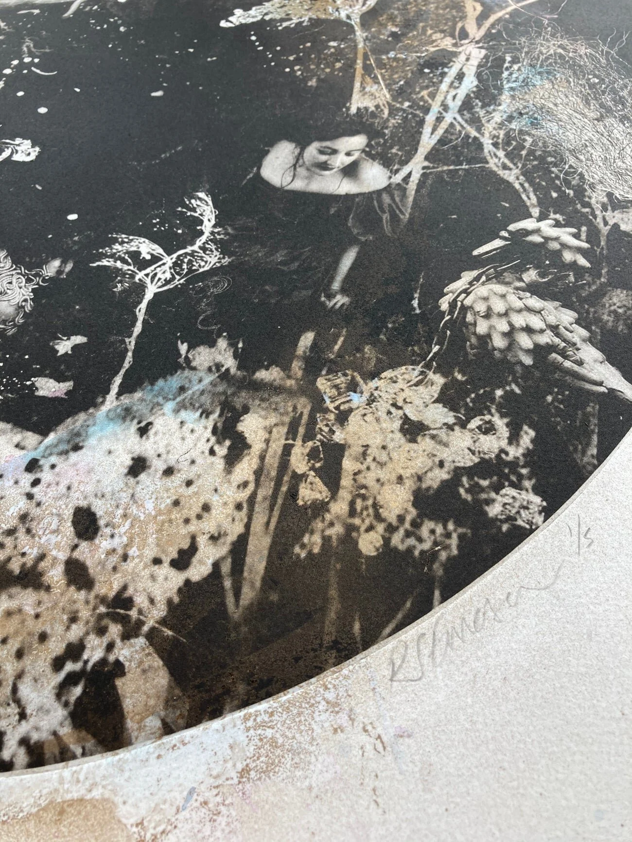 Ebony and the Swans (detail 3).jpg