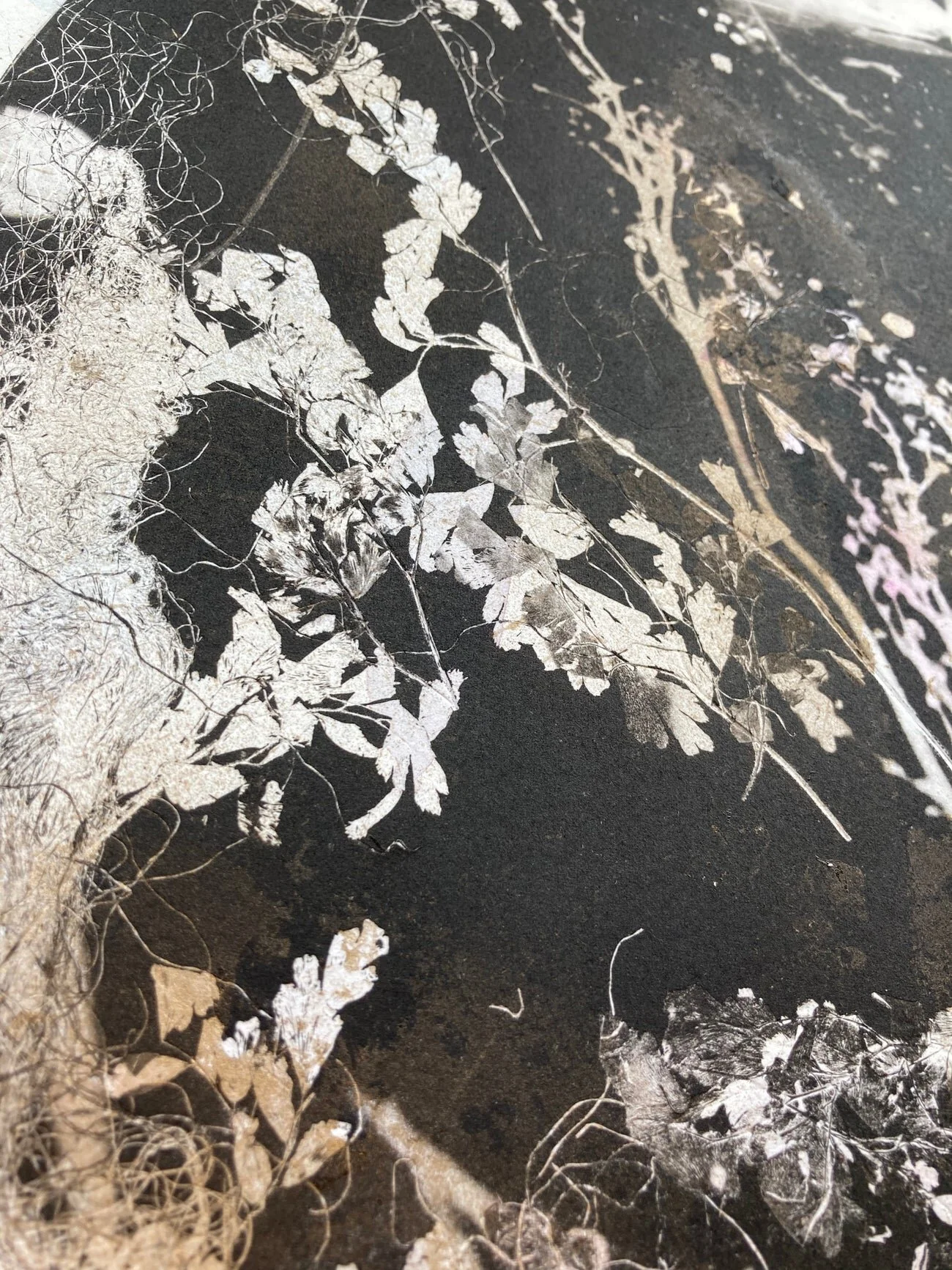 Ebony and the Swans (detail 2).jpg