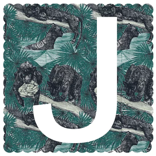 J.png