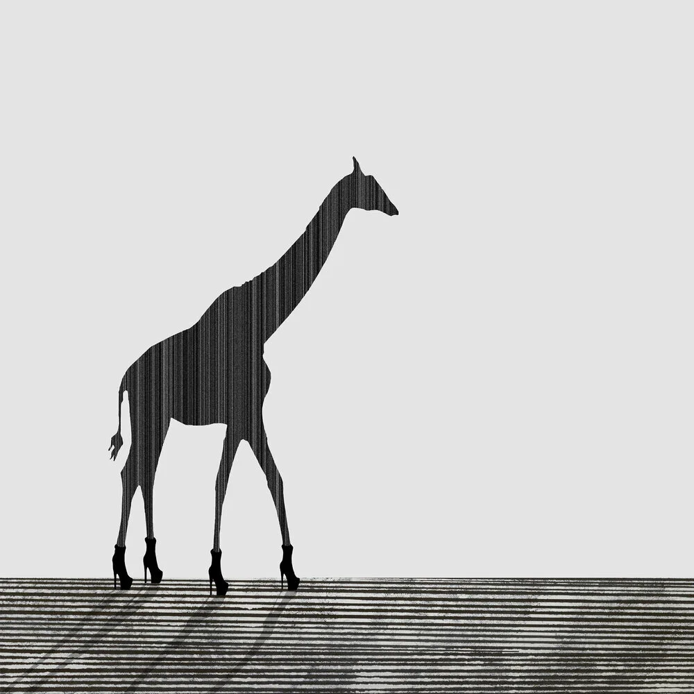 Giraffe.jpg