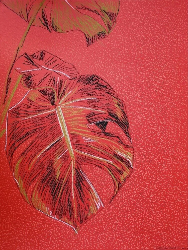 clare halifax "swiss cheese study 13" 