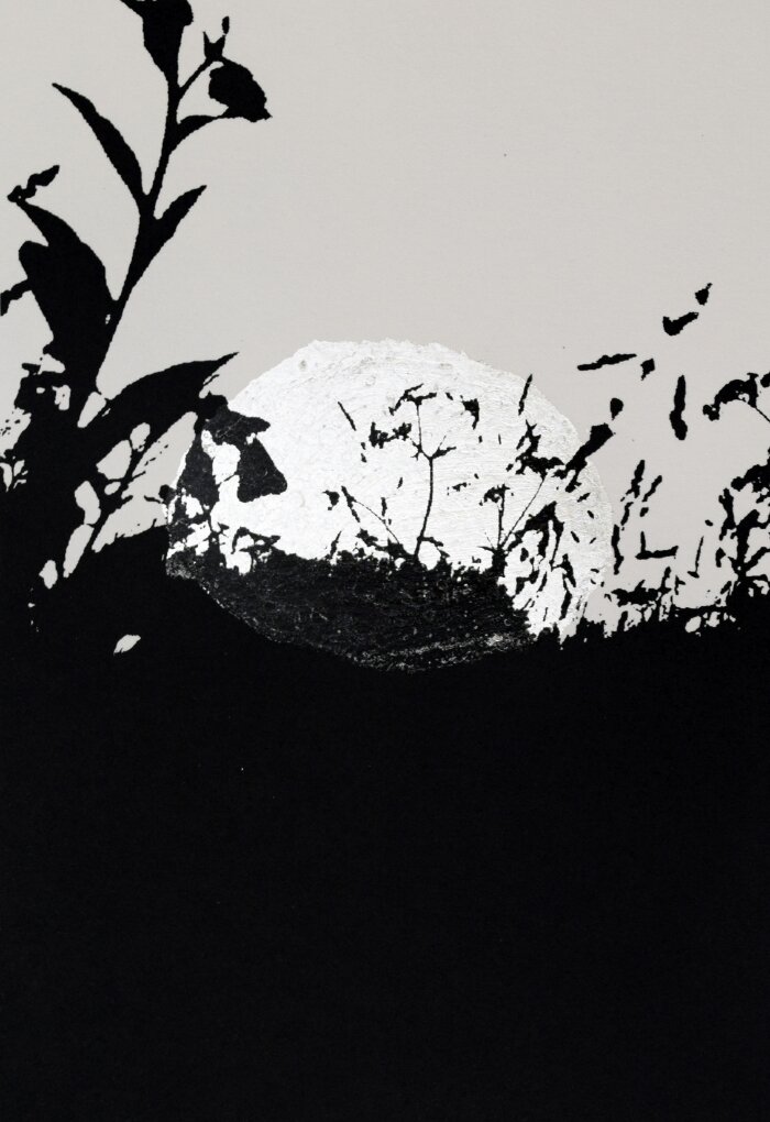 Verde+Luna_2015_+©BellaVernon.jpg