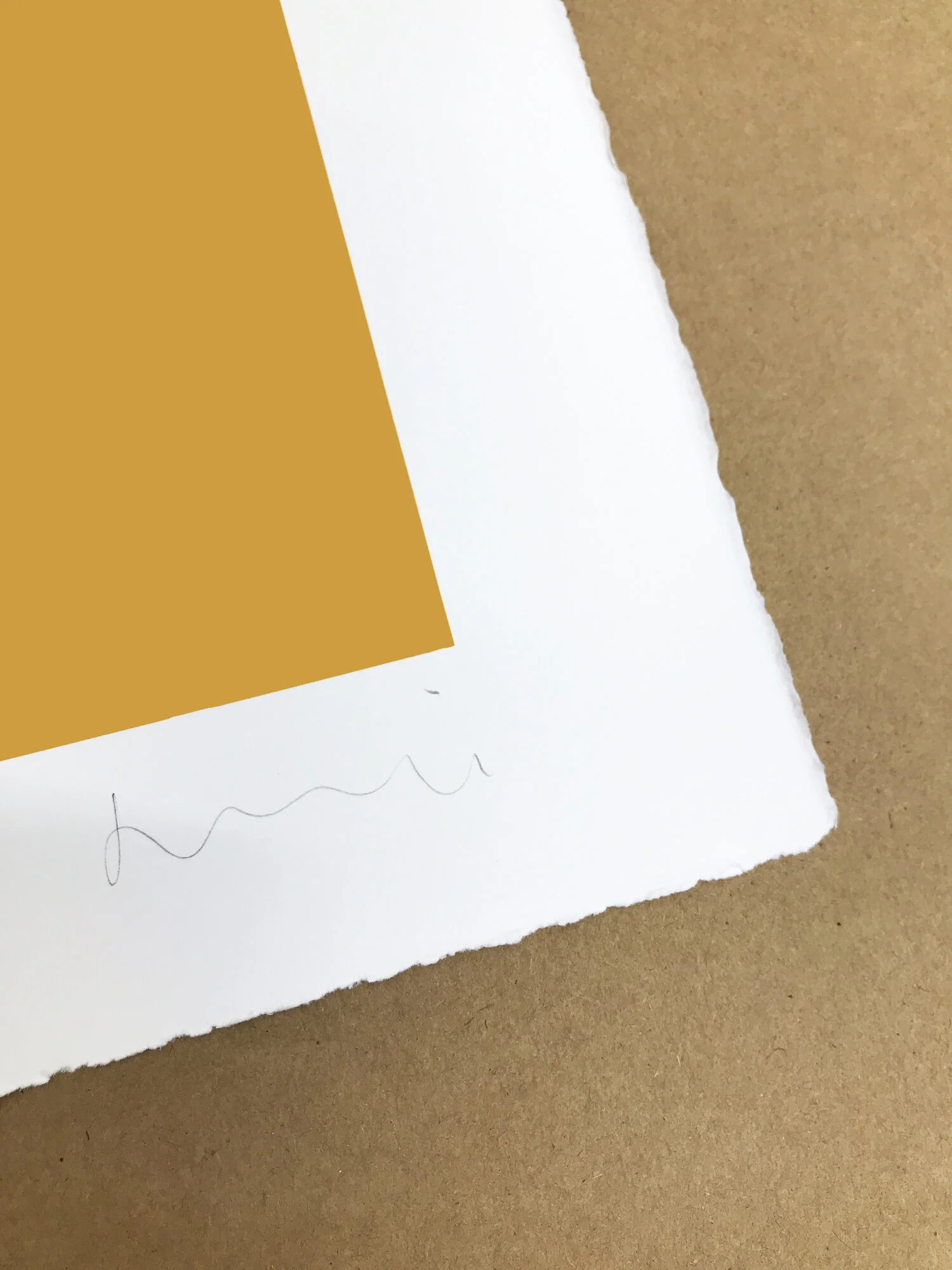 Cut Outs Mustard closeup.jpeg