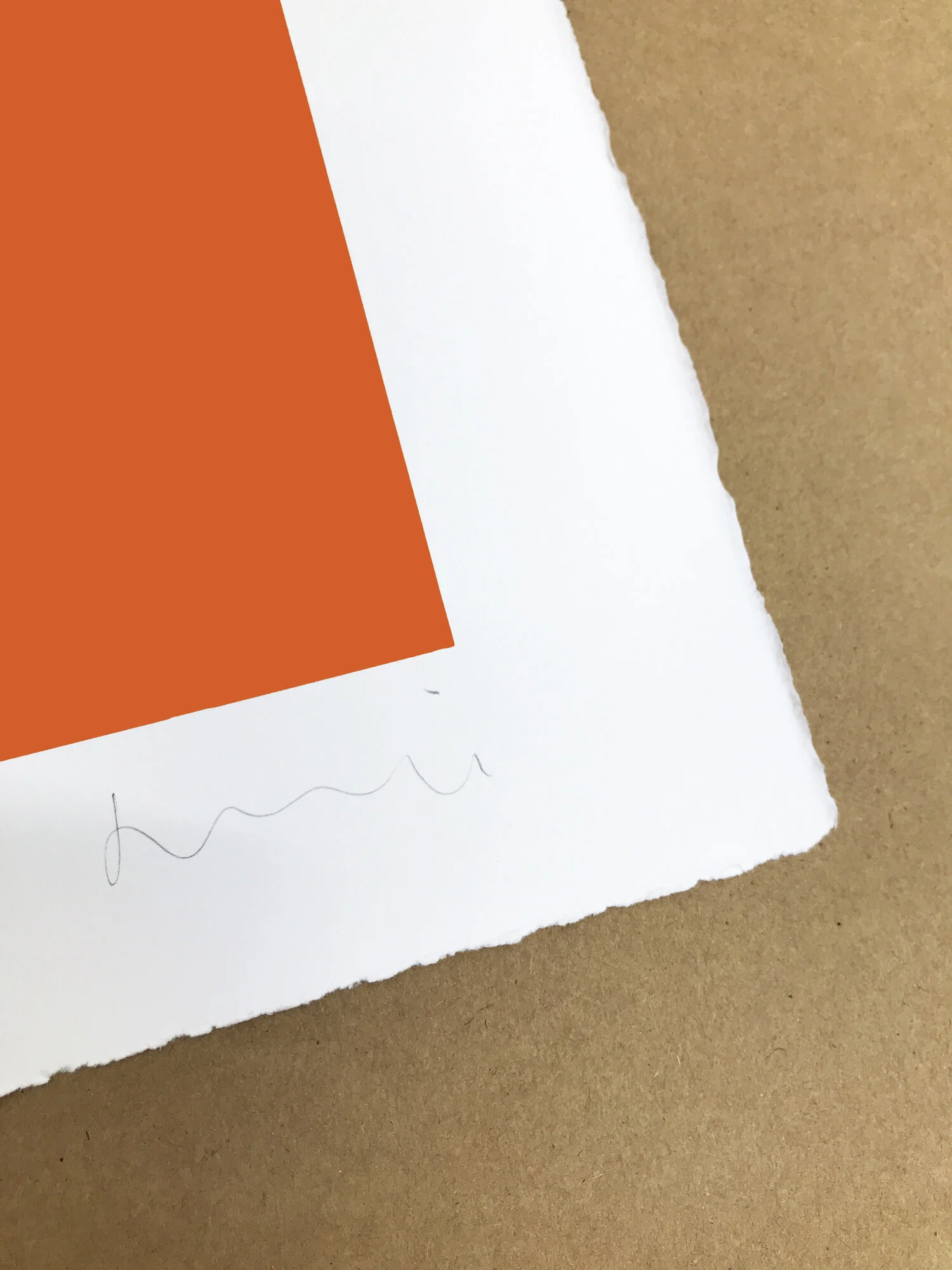 Cut Outs Orange closeup.jpeg