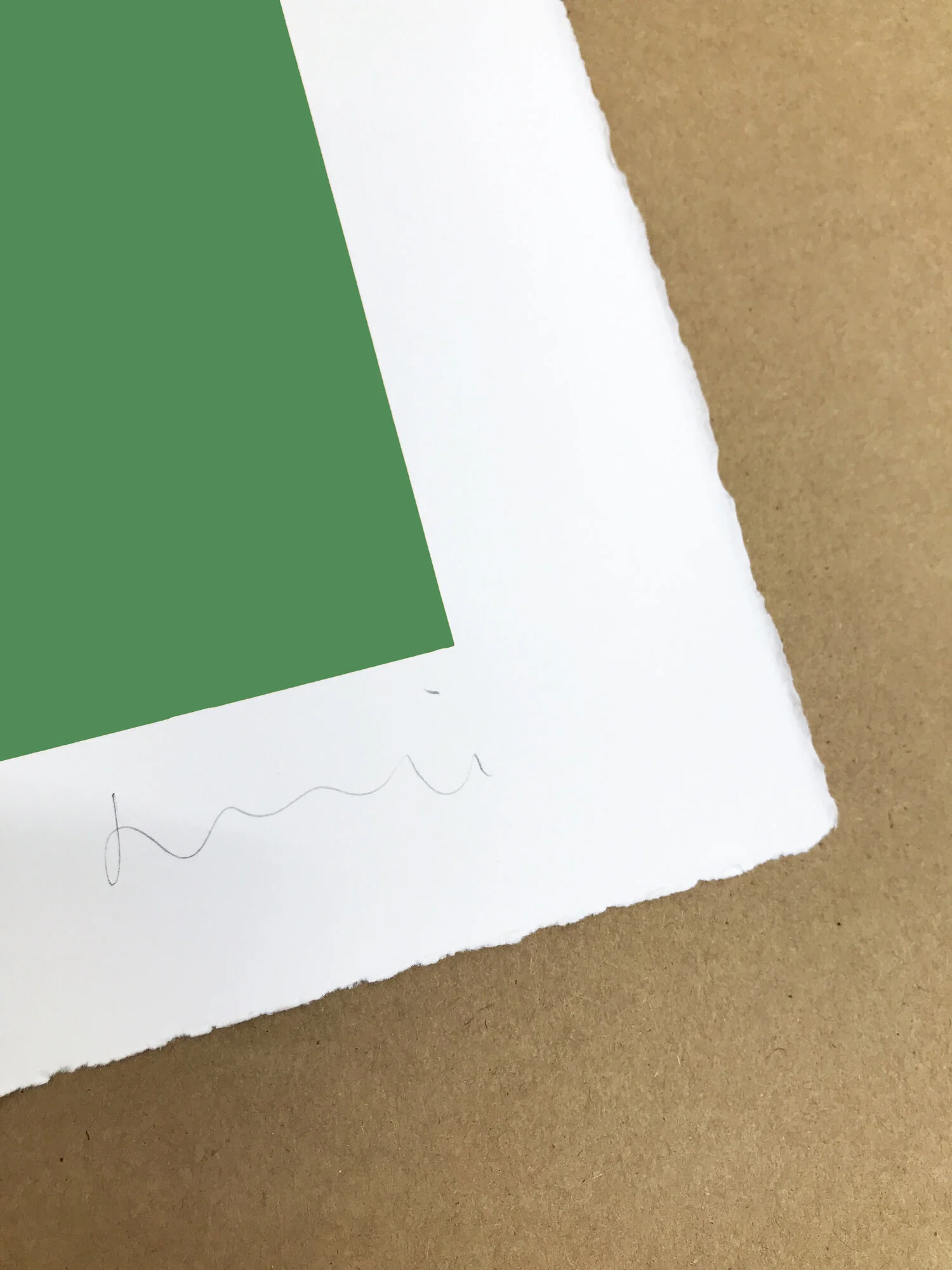 Cut Outs Green closeup.jpeg