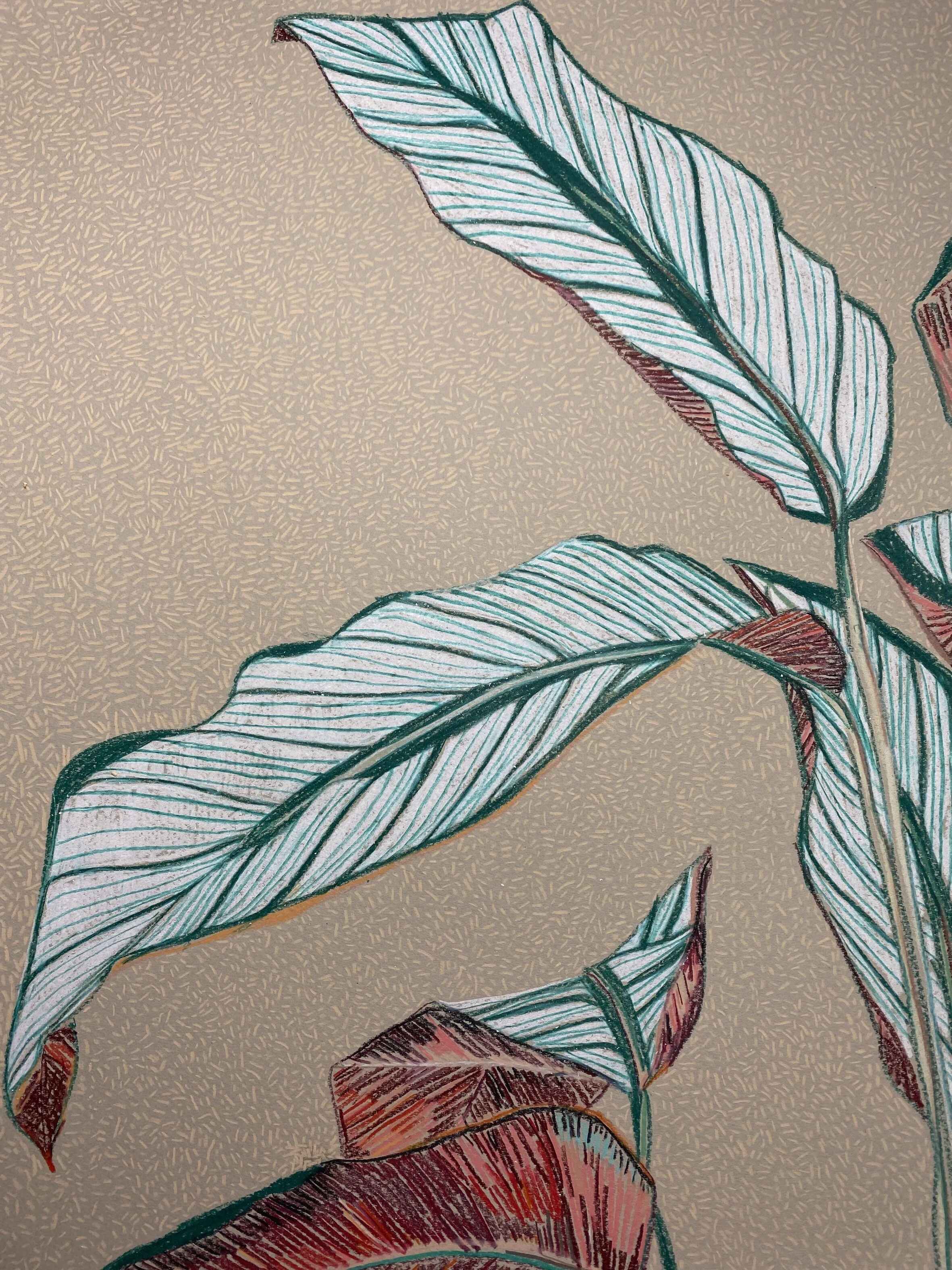 Calathea Study 9 30.5 x 40.6 cm 160 gsm paper.jpeg