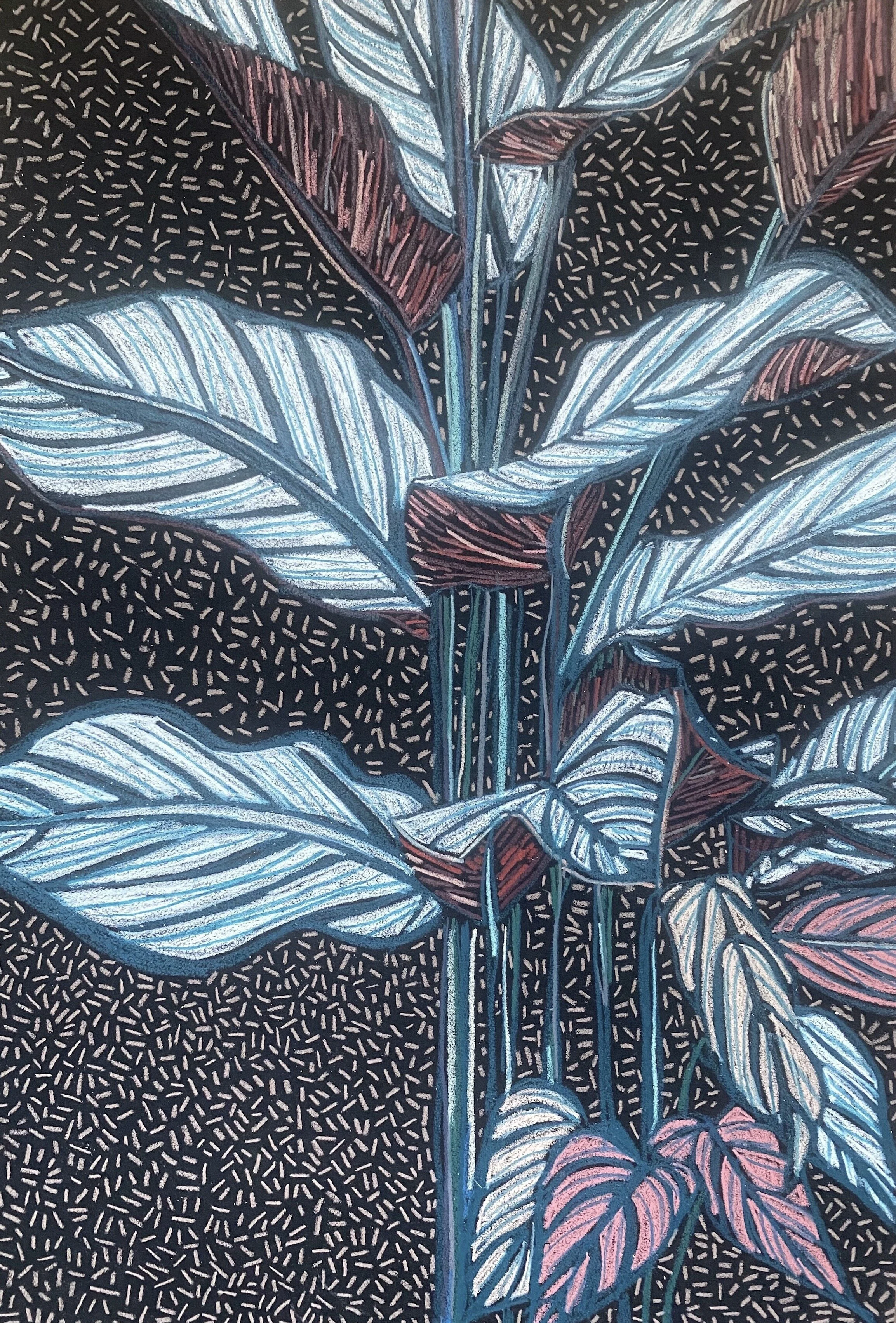 Calathea Study #7 26.8 x 39 cm.jpeg