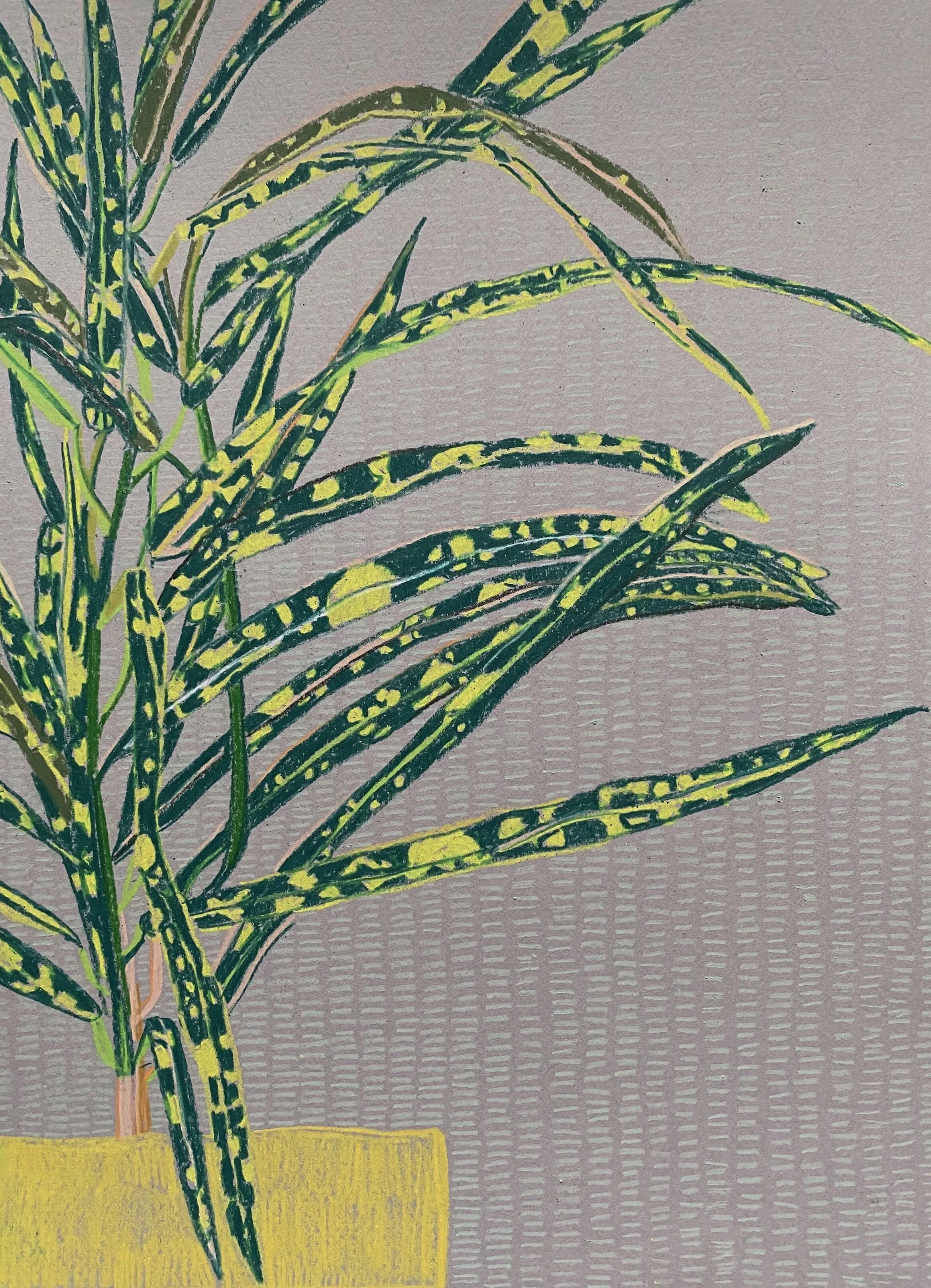 Croton Study 1, 22.9 x 30.5 cm, 160 gsm paper, £180.jpeg