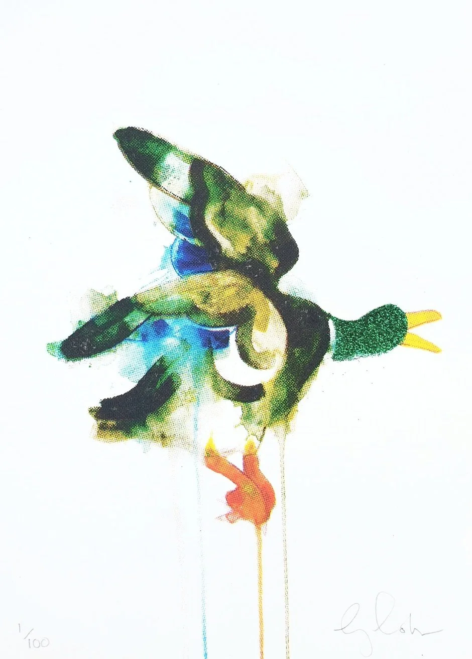 gavin dobson "mini flying duck"