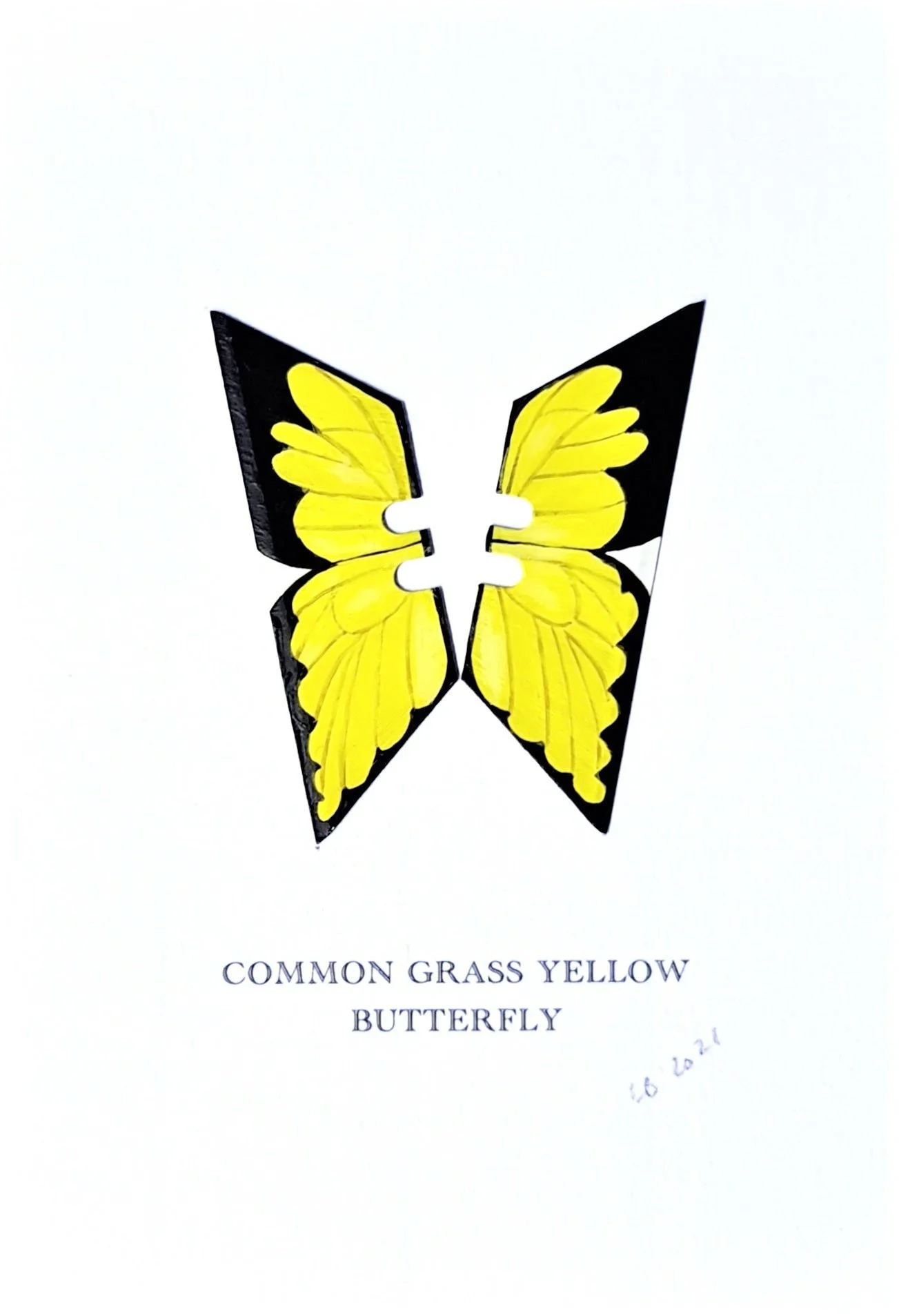 Lene+Bladbjerg+Common+Grass+Yellow+Butterfly.jpg