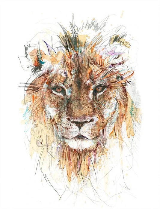 Carne Griffiths Stare of a Lion.jpeg