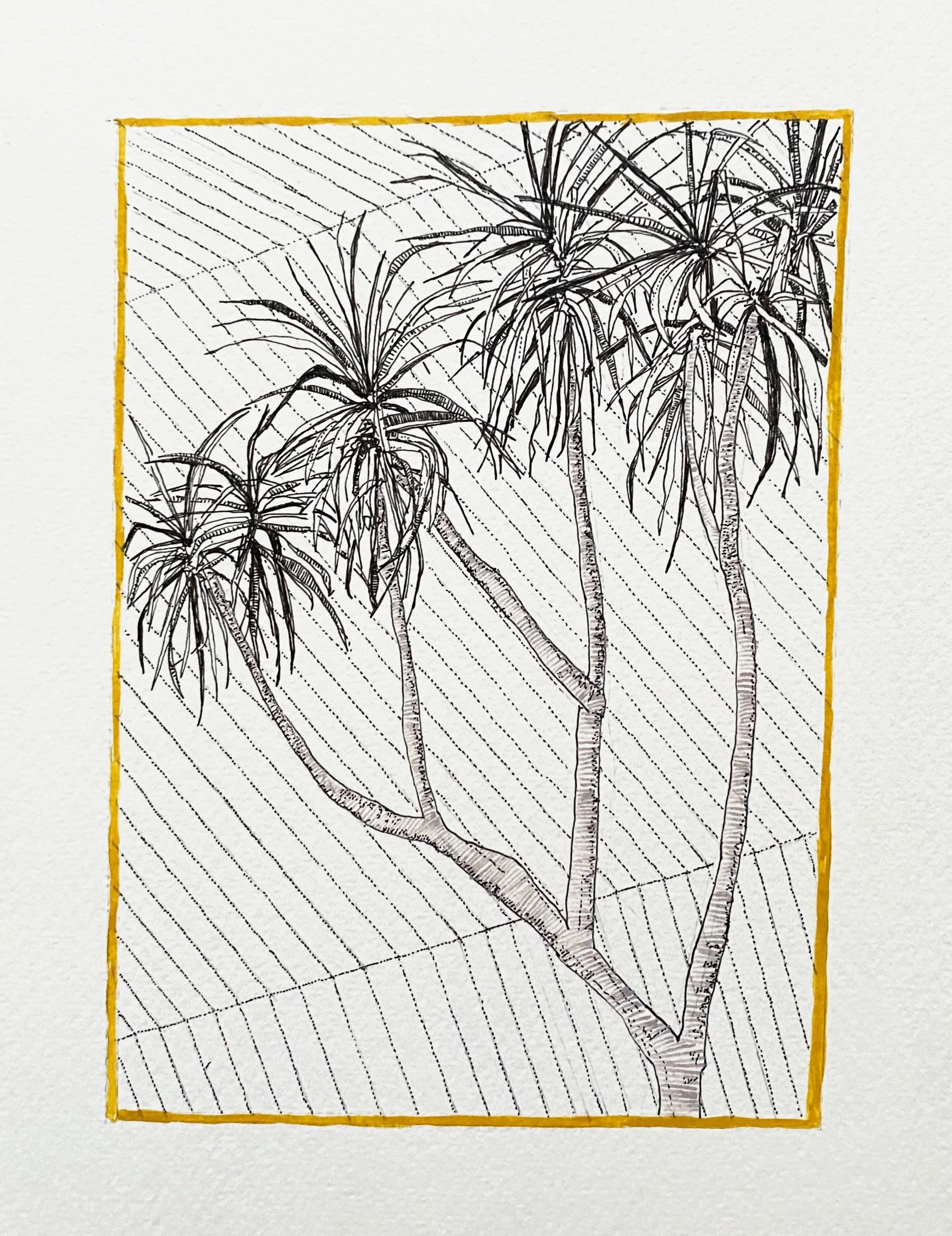 clare halifax "portrait palm study #2"