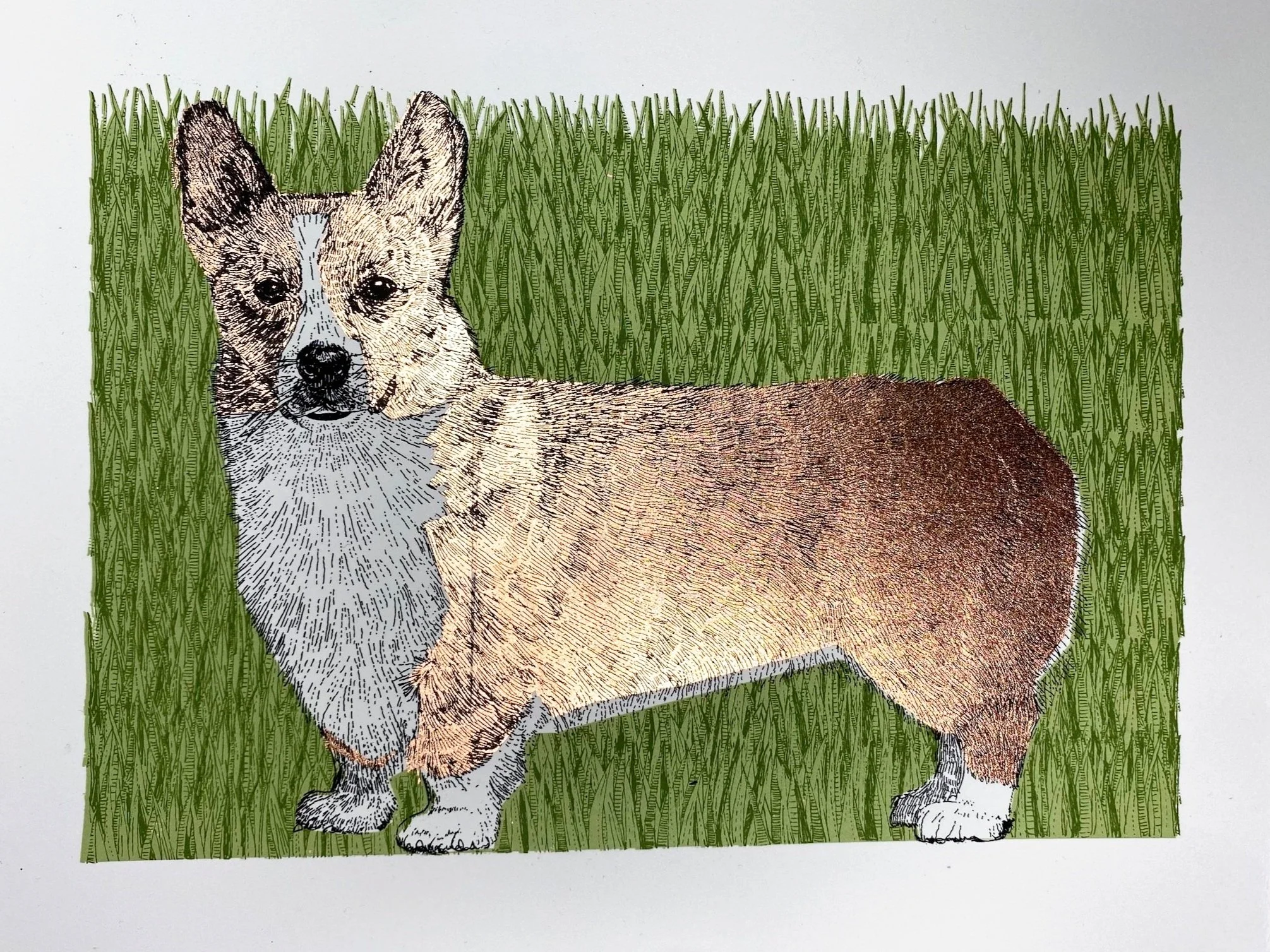clare halifax "copper corgi"
