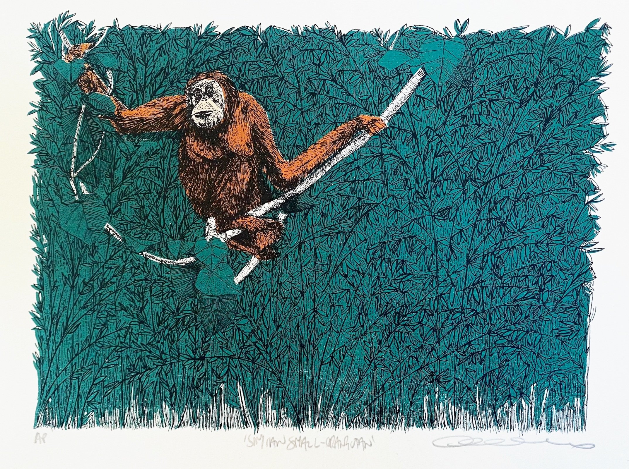Small+Simian+Orangutan%2C+3+colour+screen+print%2C+image+size+15x21cm%2C+paper+size+19x24cm%2C+edition+of+10%2C+unframed+retail+price+%C2%A350.jpg