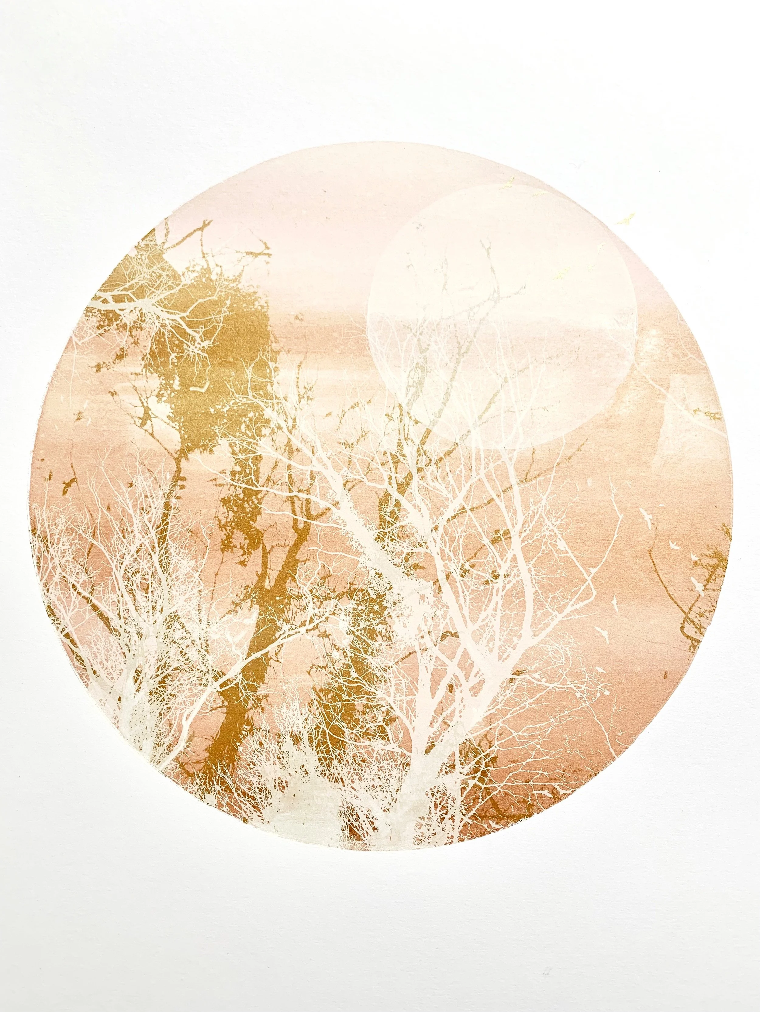 rachel barber "spring moon" 1/8