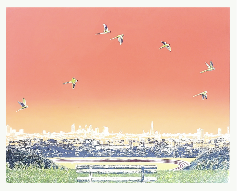 emma reynolds "halcyon evenings"