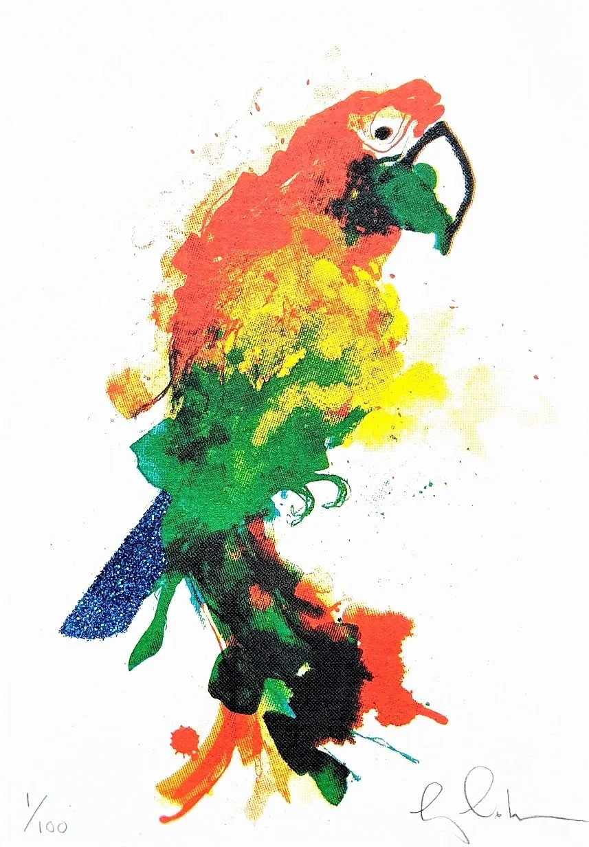 gavin dobson "mini parrot"