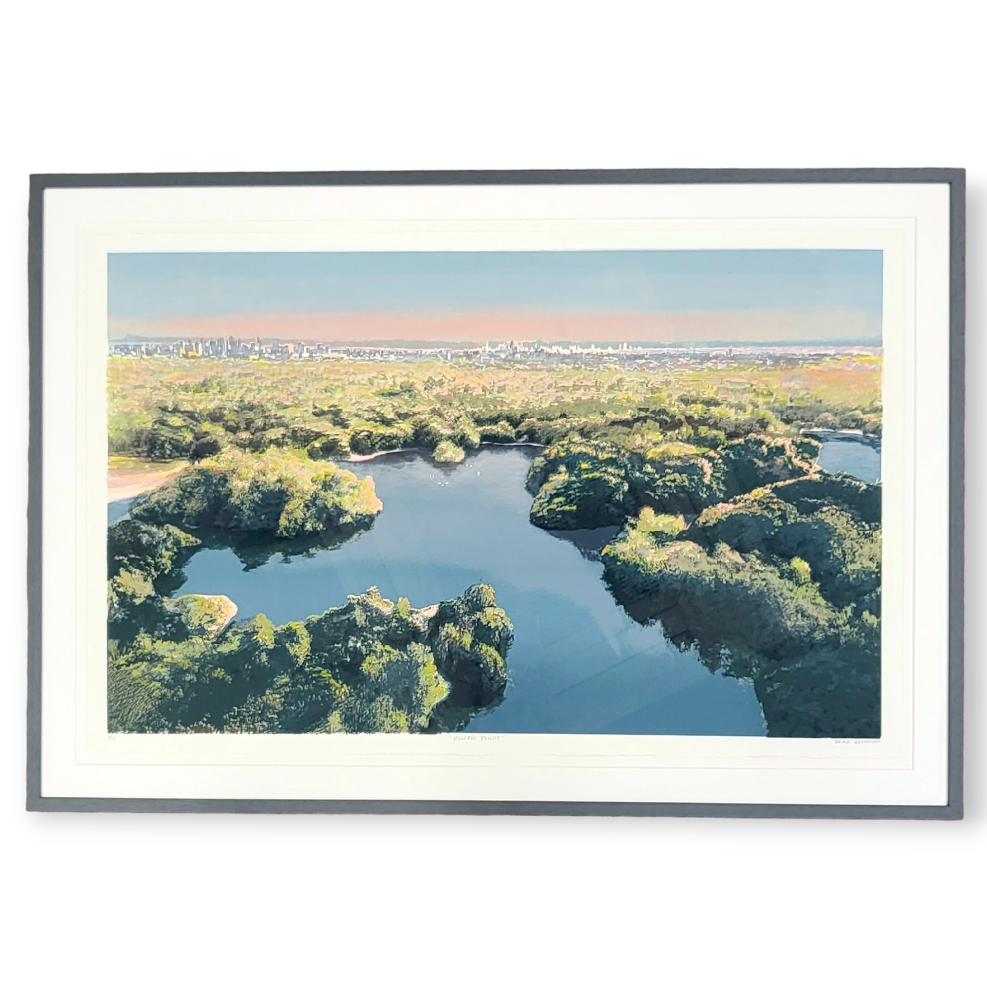 Emma Reynolds Hollow Ponds.png