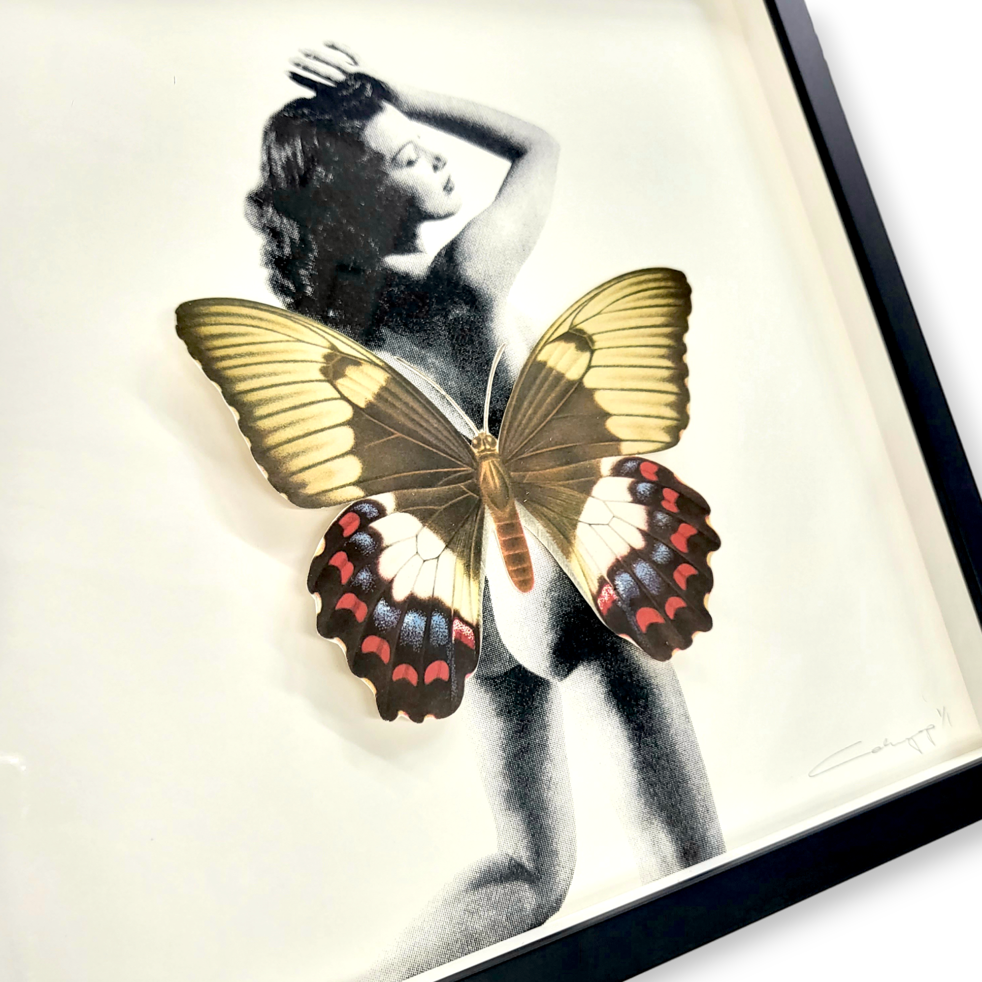 Cassandra Yap 'Mariposa 26' detail.png