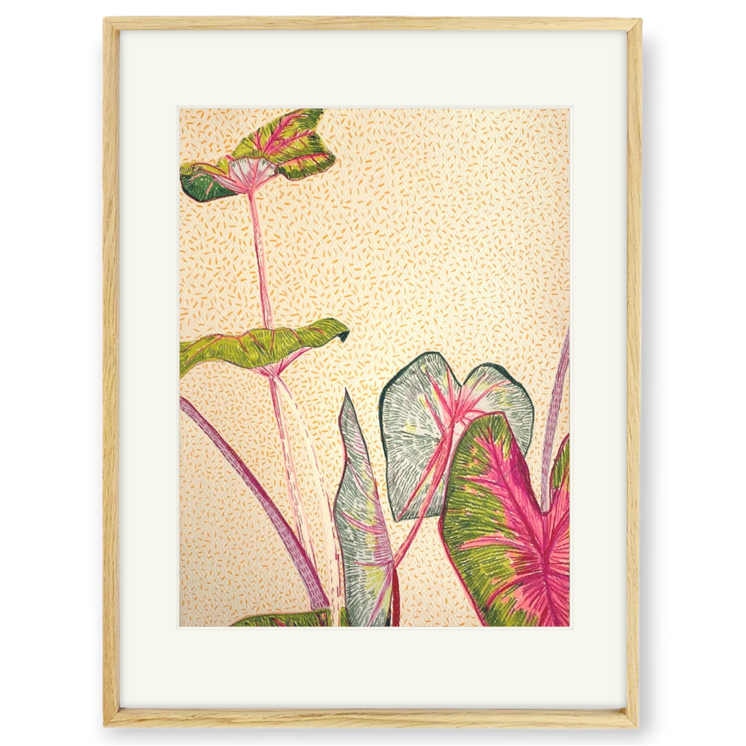 Clare Halifax - Red Flash Caladium Study 1 framed.png