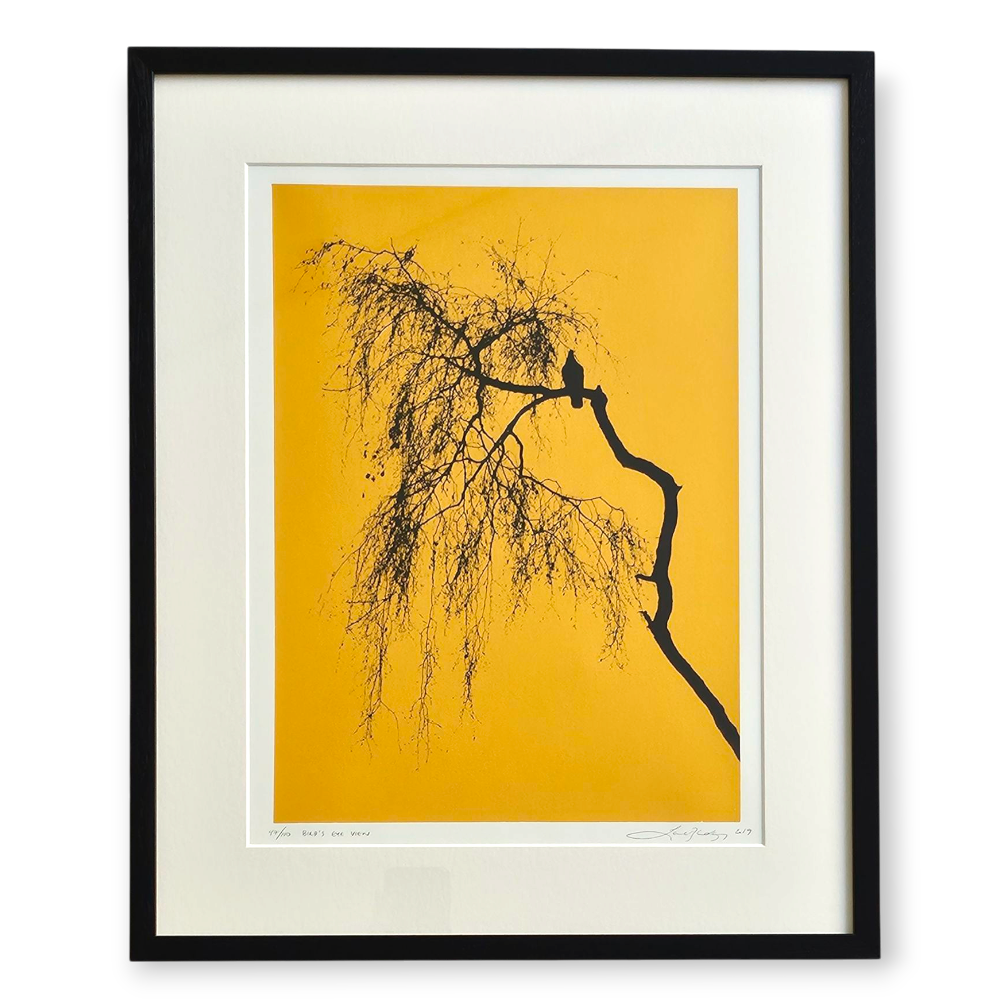 lene bladbjerg "birds eye view" (framed)
