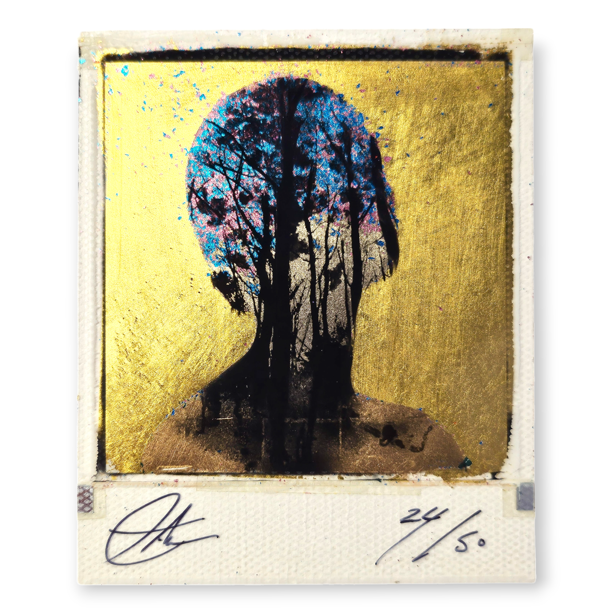 andrew j millar "rise"