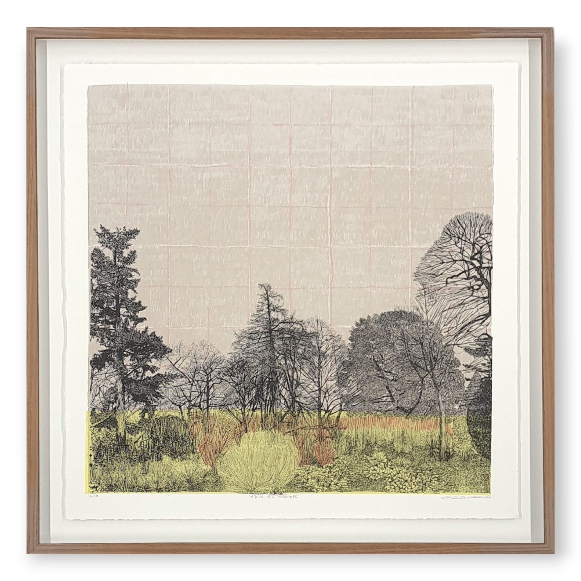 clare halifax "above the treetops"