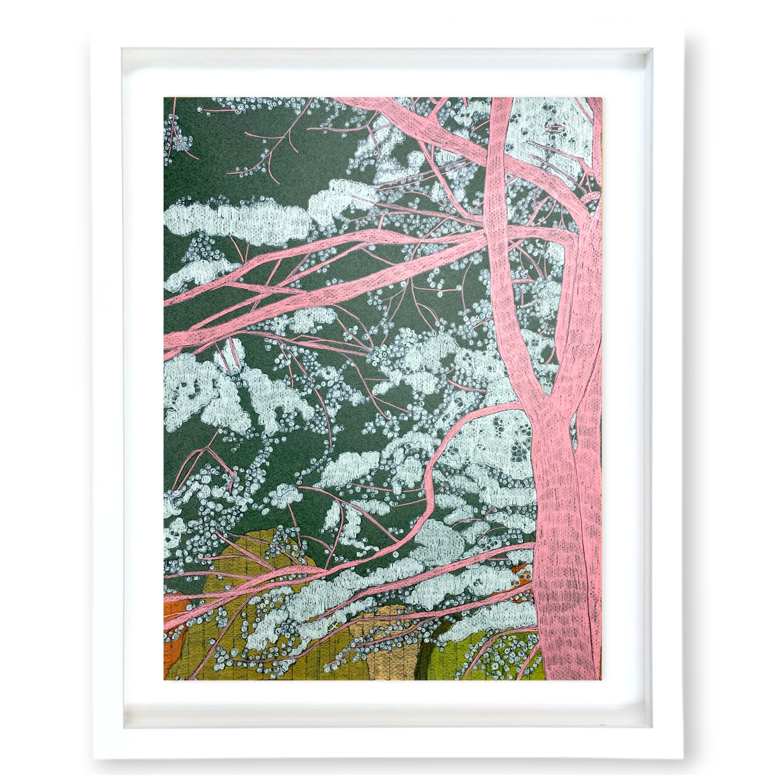 Clare Halifax - Tree Study 11 framed.png