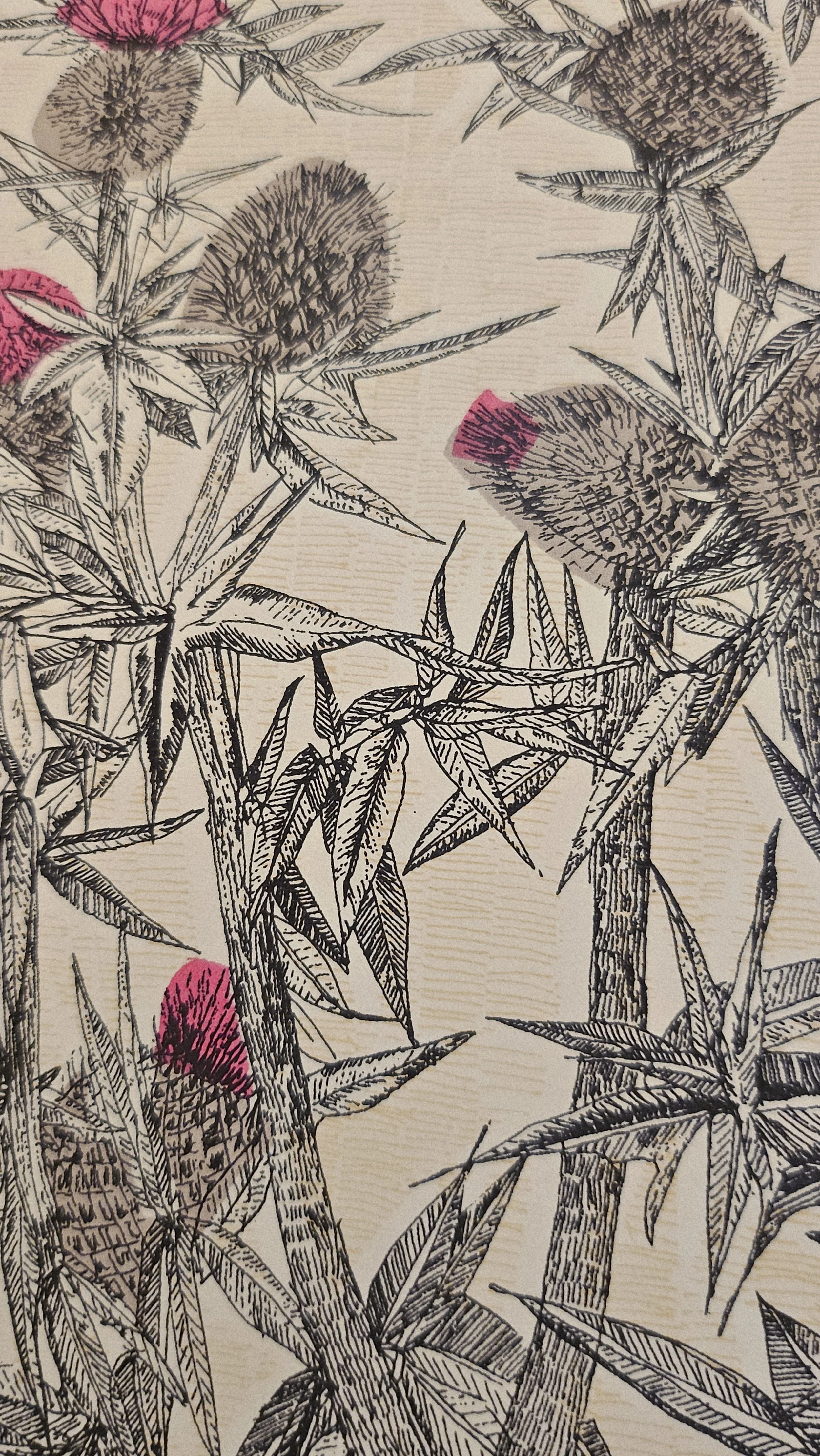 Clare Halifax - Scottish Thistle detail.jpg