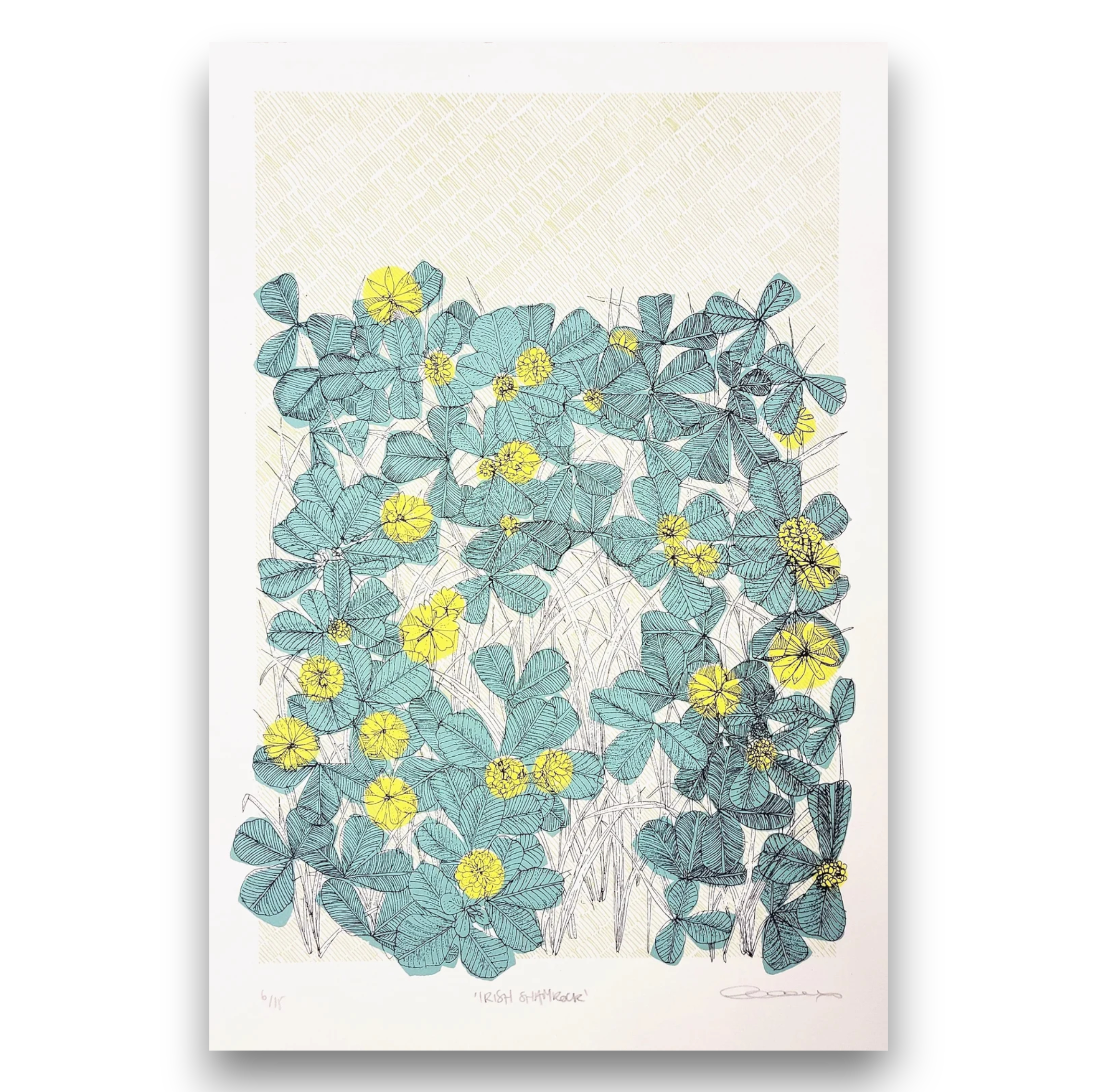 clare halifax "irish shamrock"