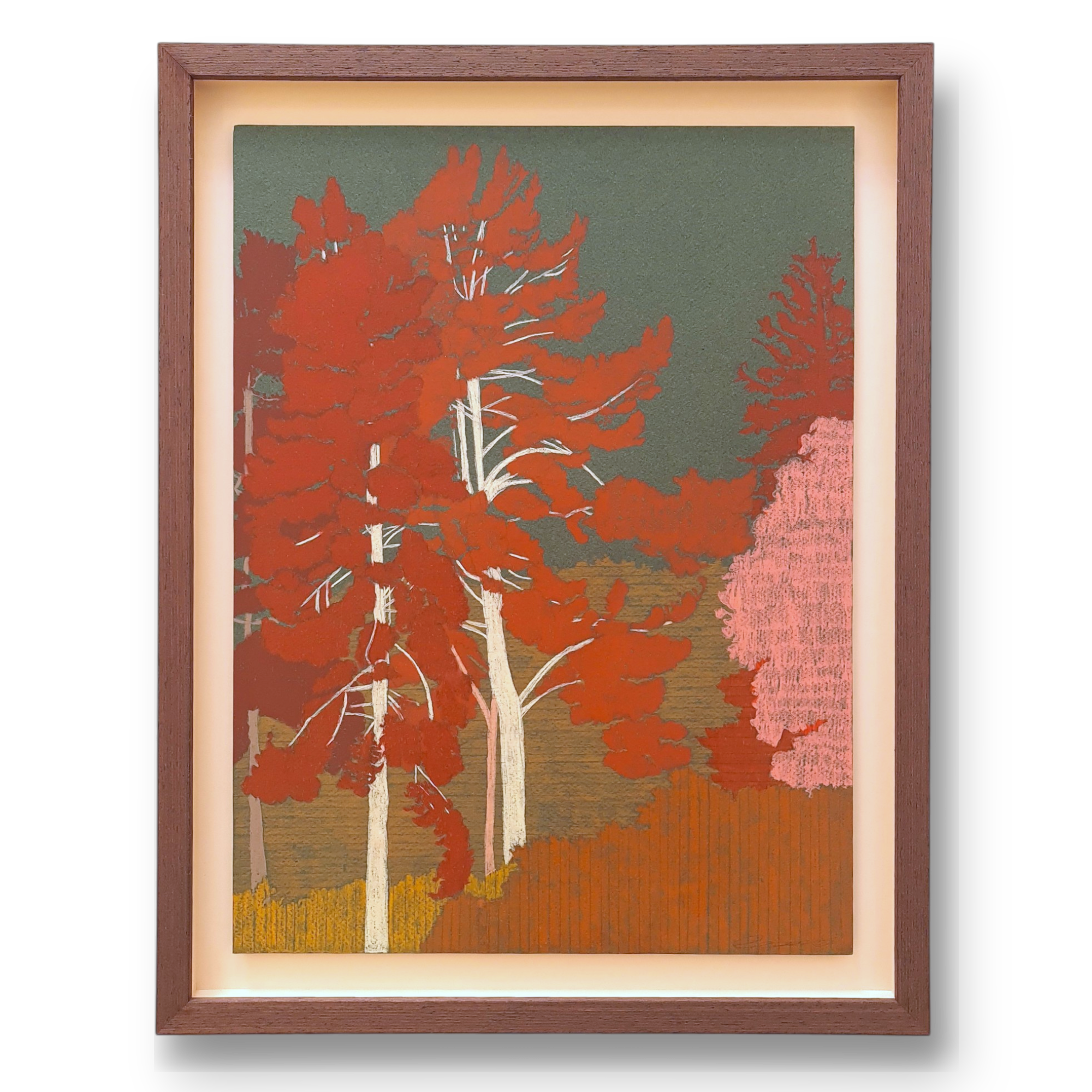 clare halifax "tree study 16"