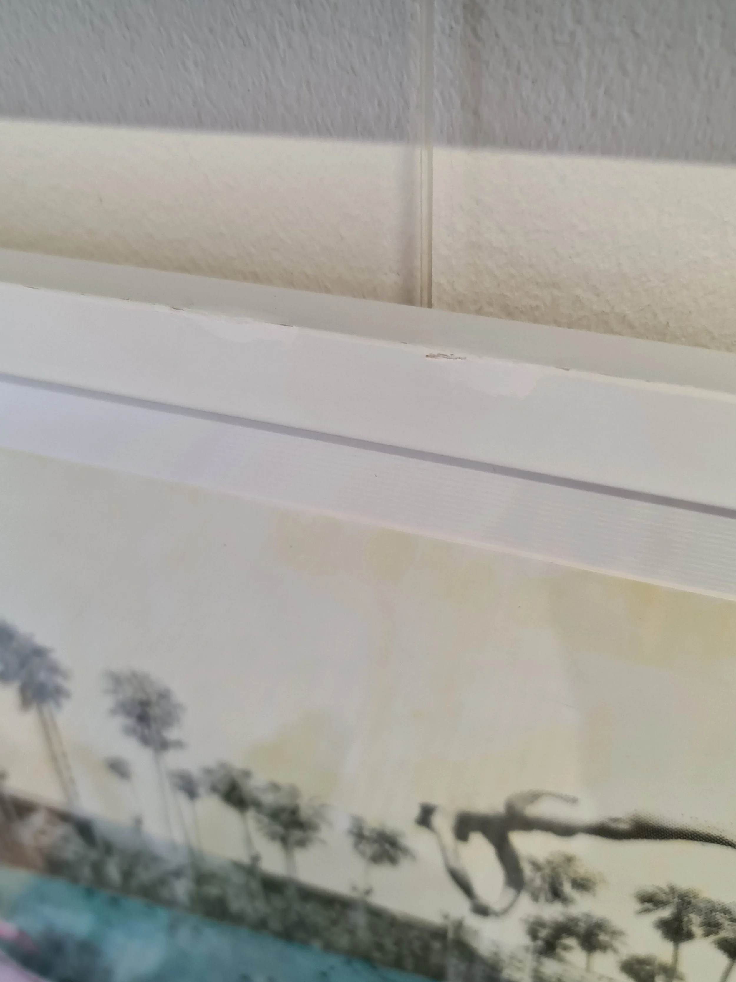 20260116_125004.jpg (Copy)