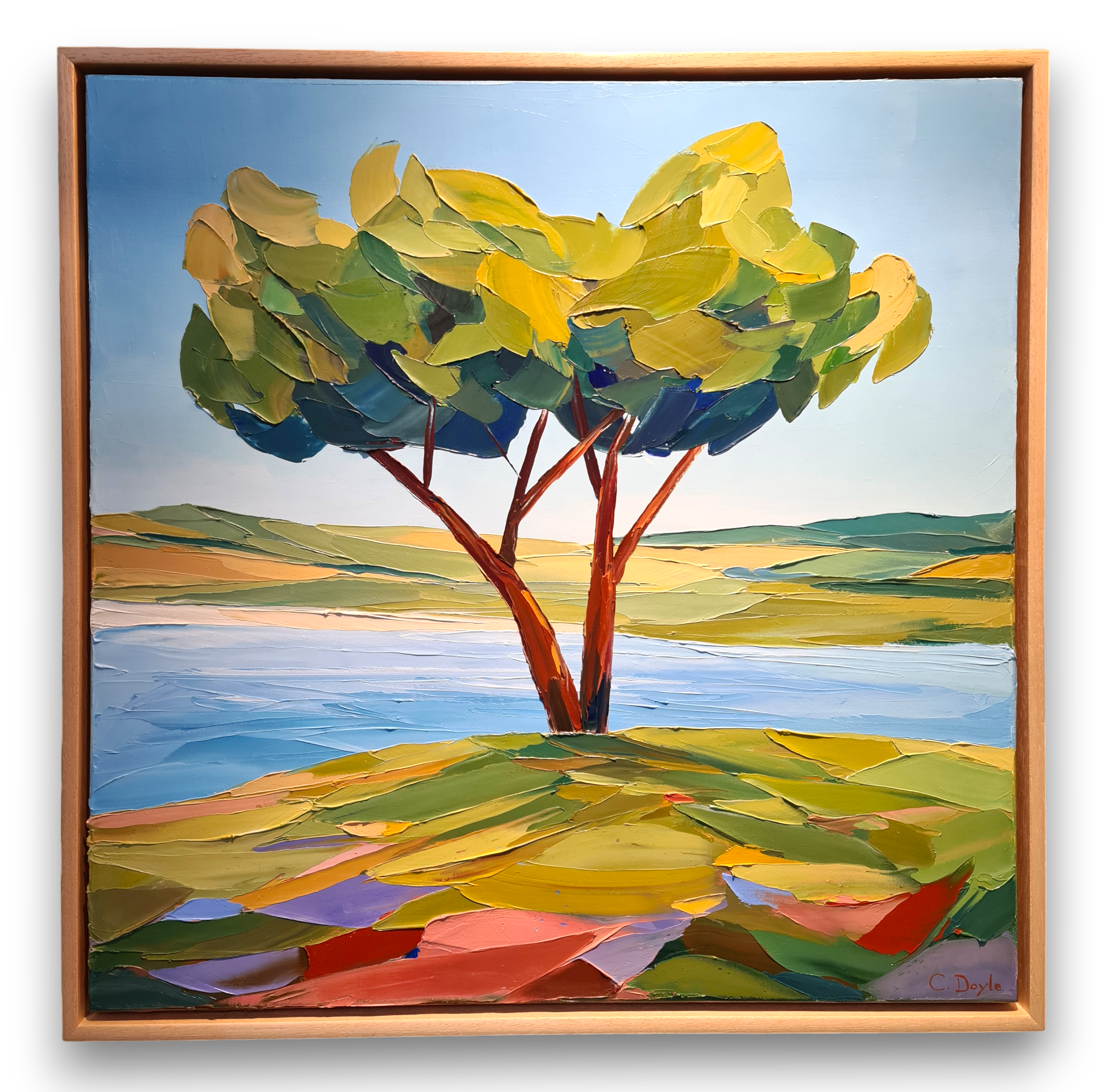 connor doyle "a moment of ponder"